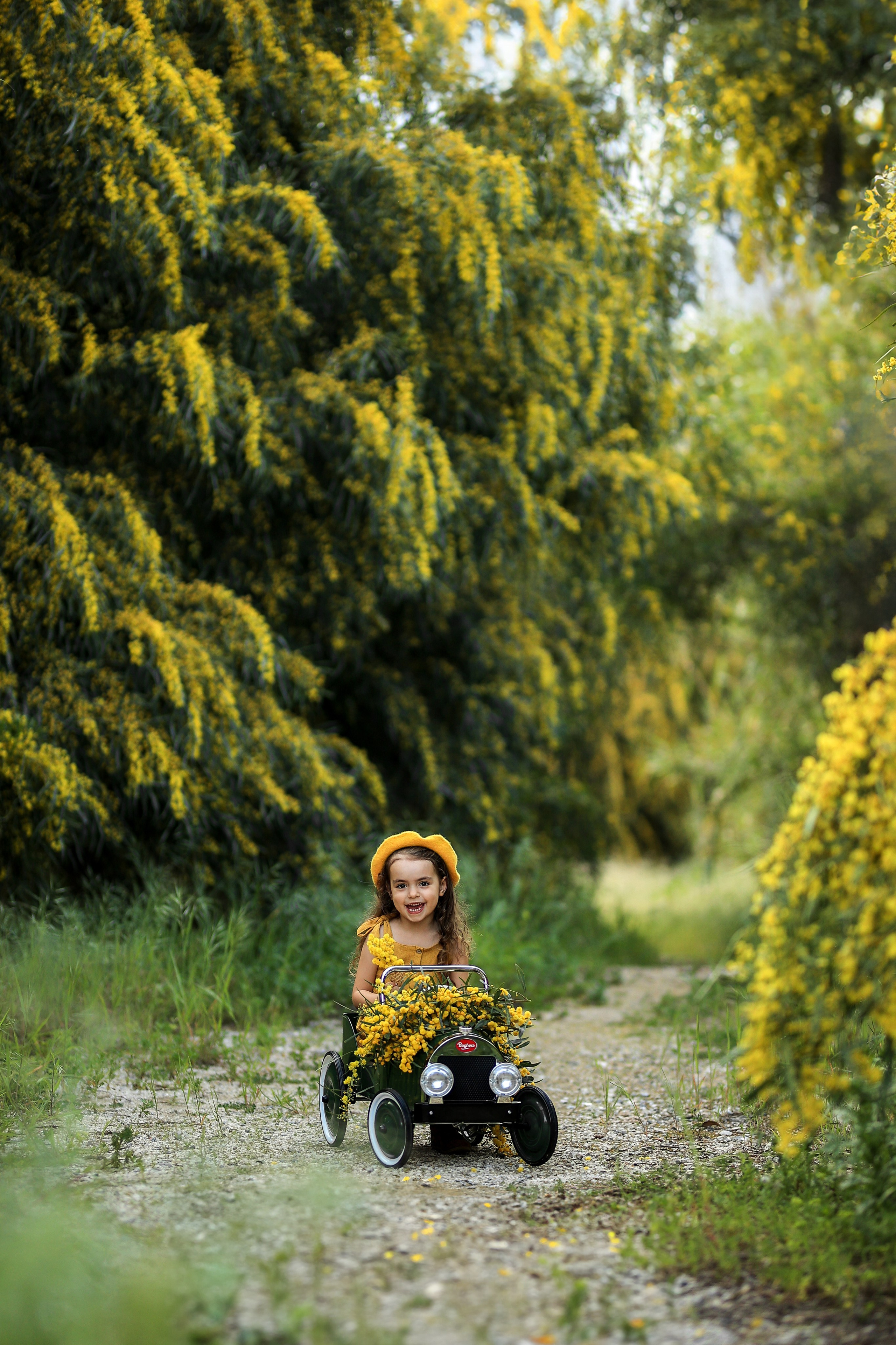 Photoshooting in mimosa. Photographer in Turkey, Antalya, Kemer, Belek, Side, Kas, Fethiye