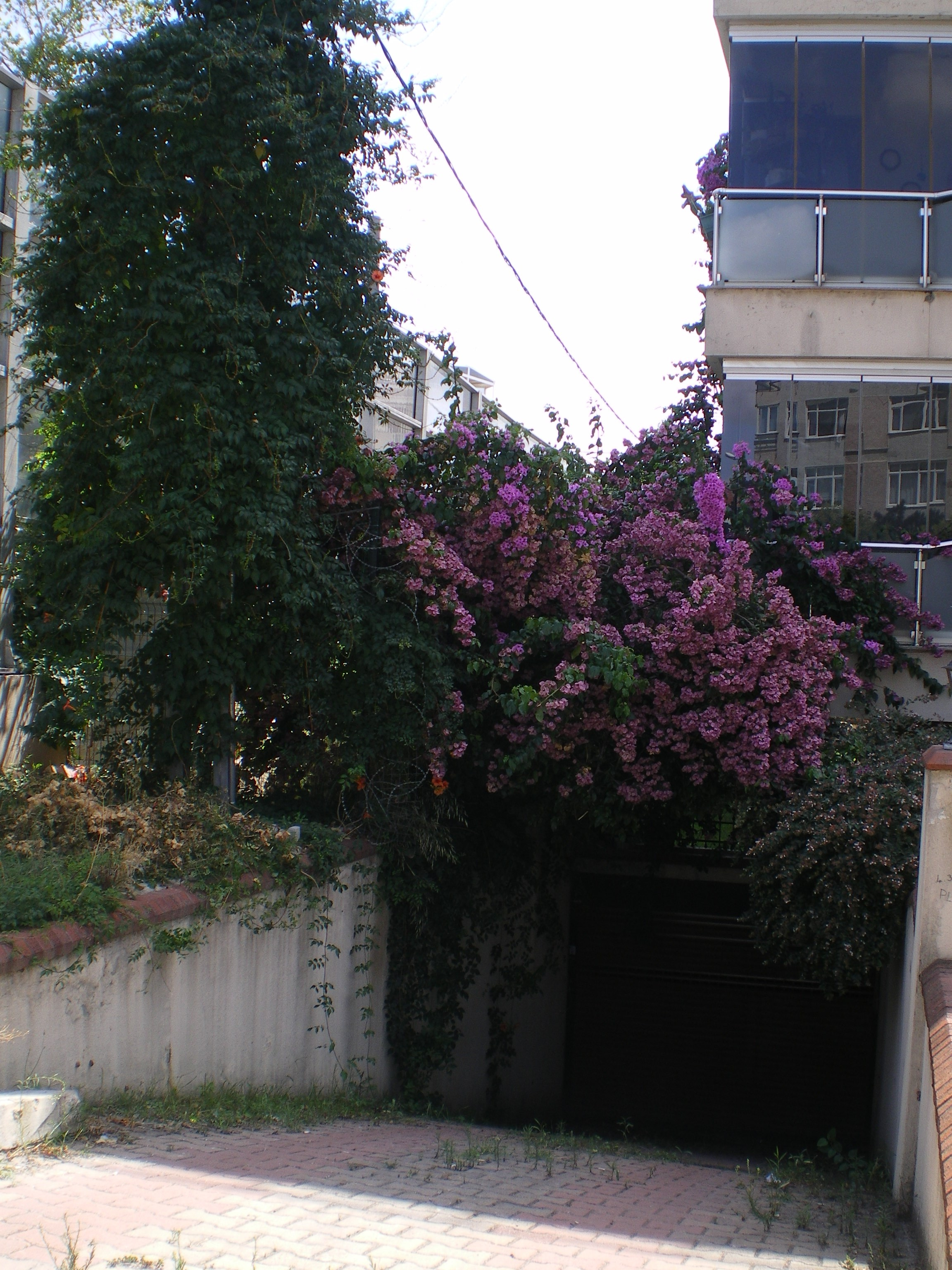 Ode to istanbul. Daria Sukhikh | Photography