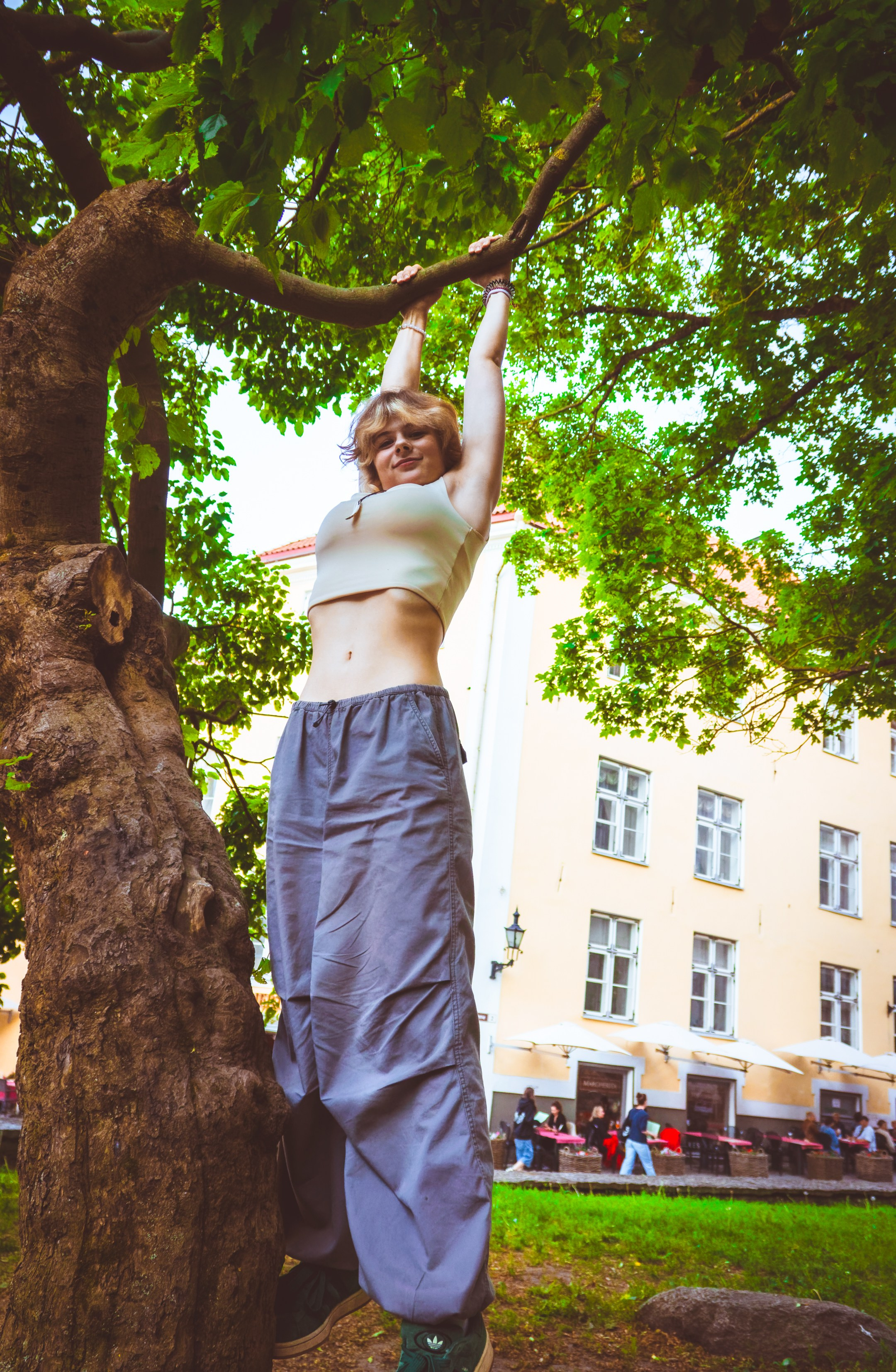 Lahe graatsia (Sonja). Nebula 25 — Fotod teie hingele