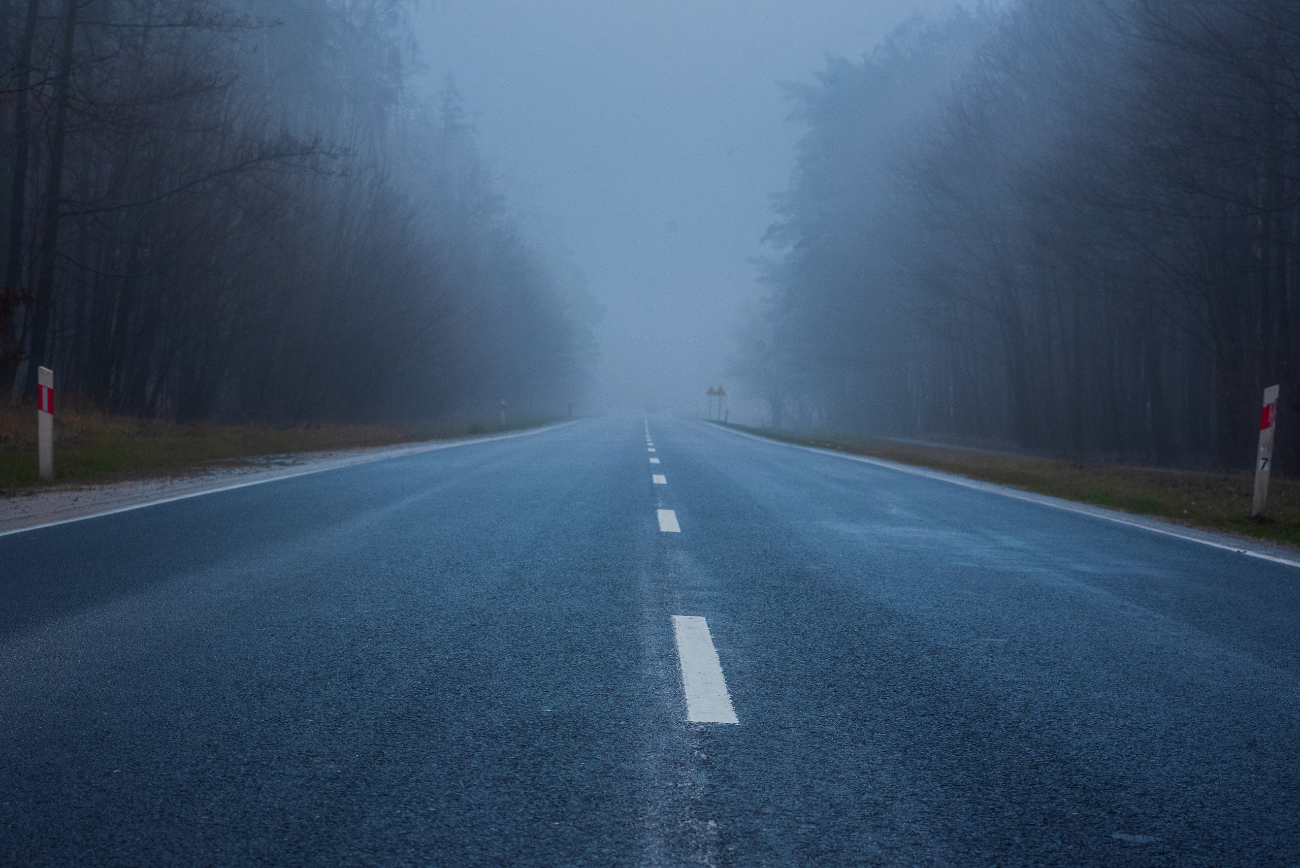 Туман в полях. Kindshephoto Женский и семейный фотограф Москва