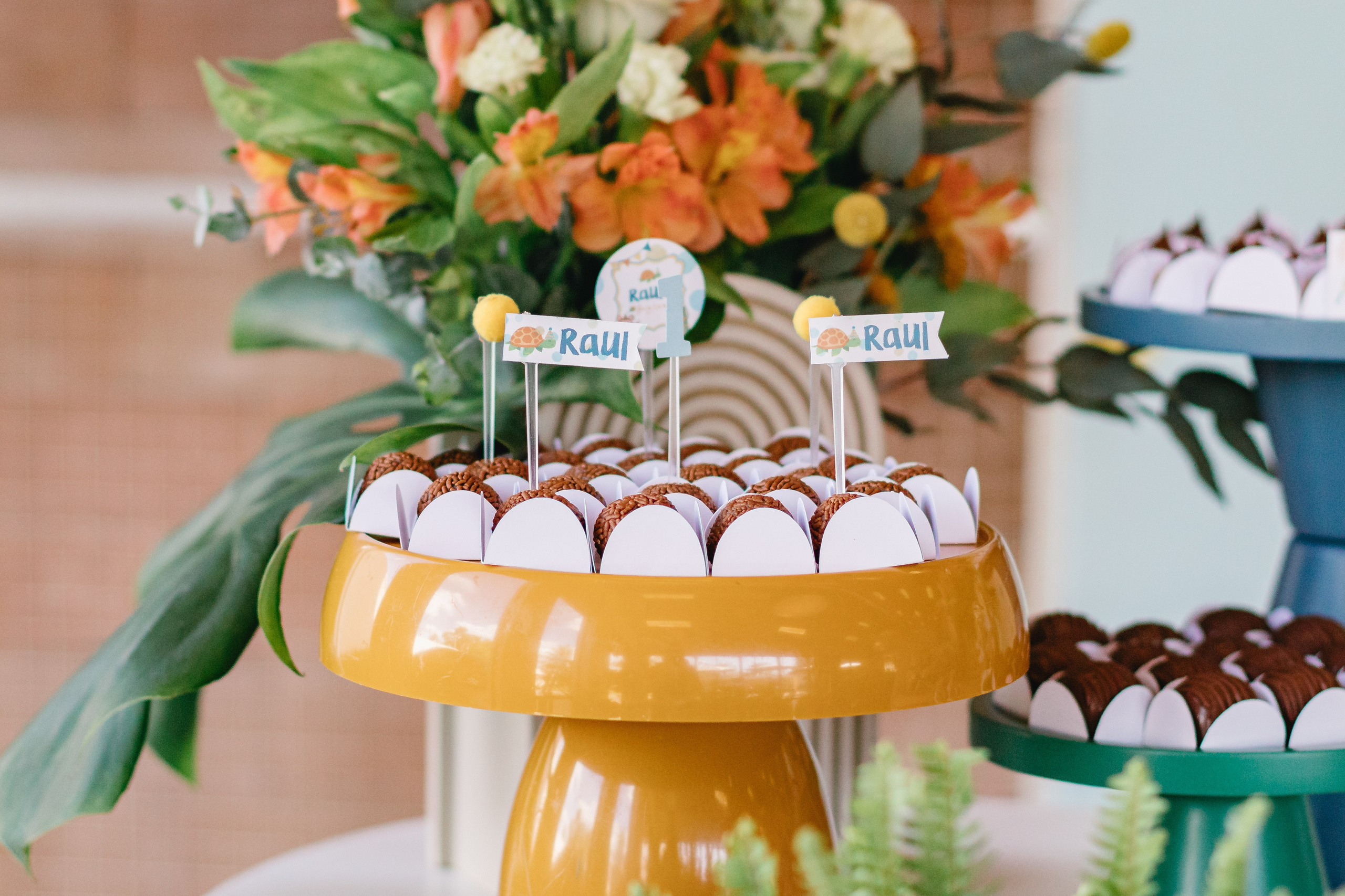 Raul — Aniversário 1 ano. Principal