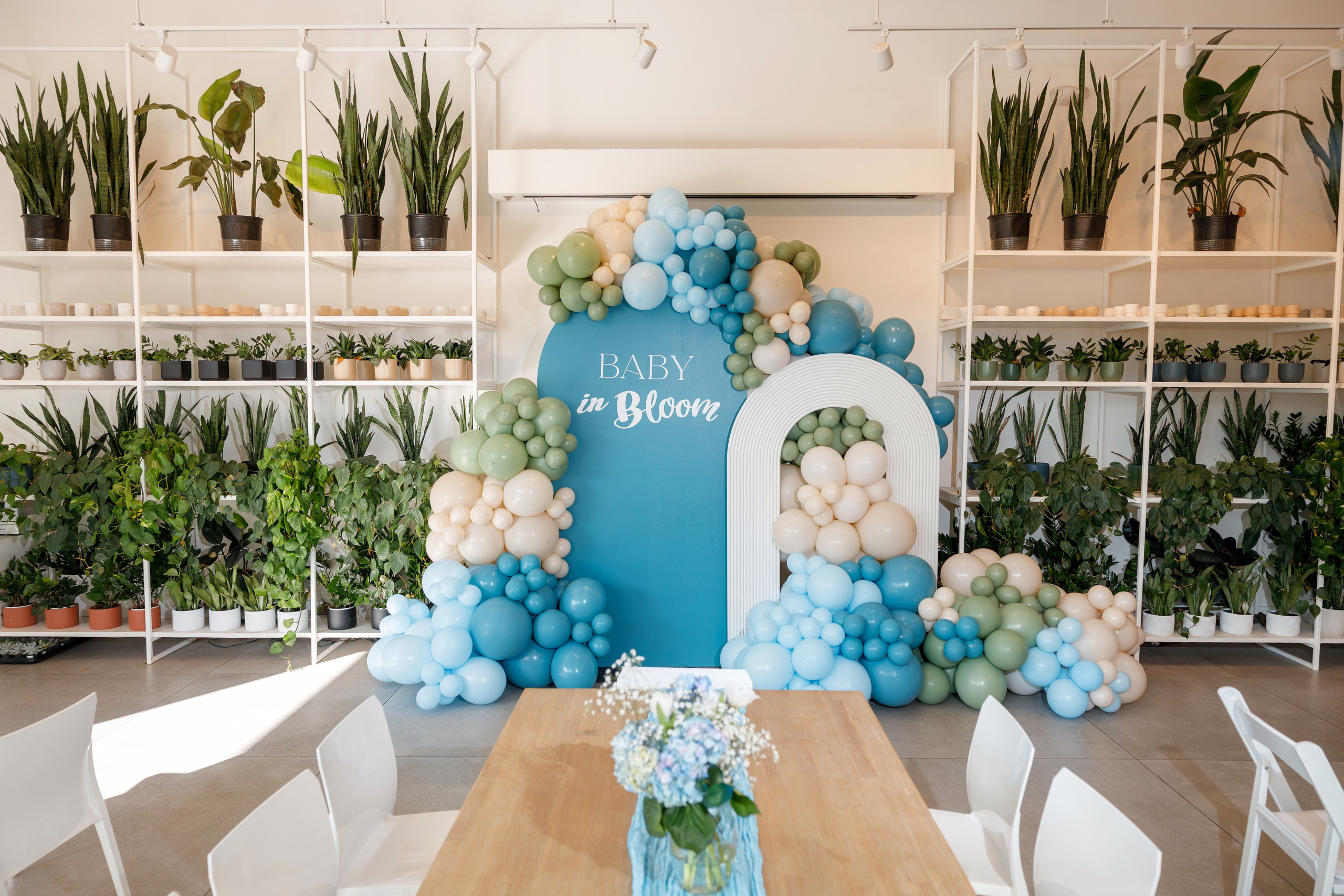 Oh, Baby. Family and Event photographer in Bay Area Elena Tiuriumina