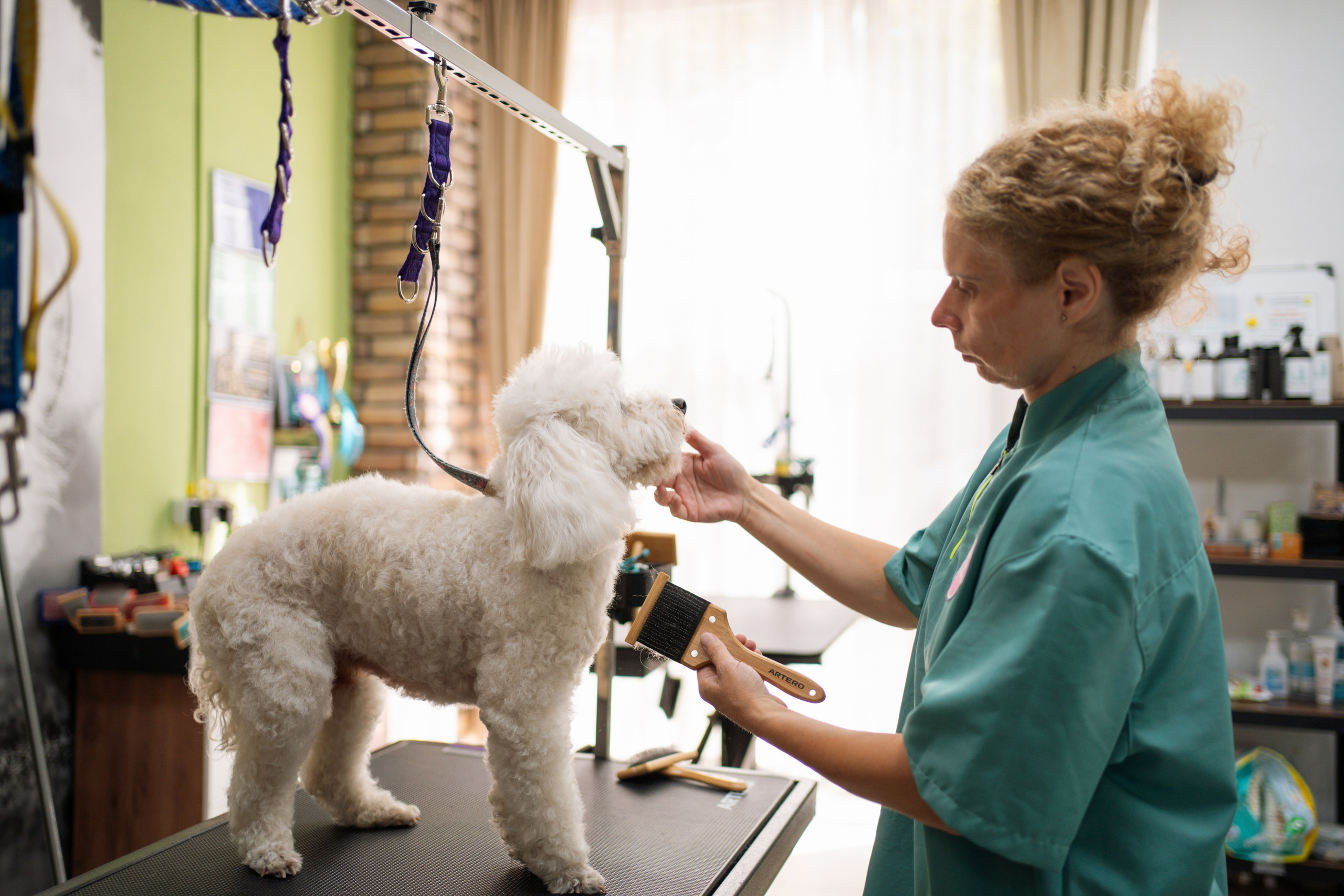 PetGroom Timisoara. Cozac Cristian Photographer