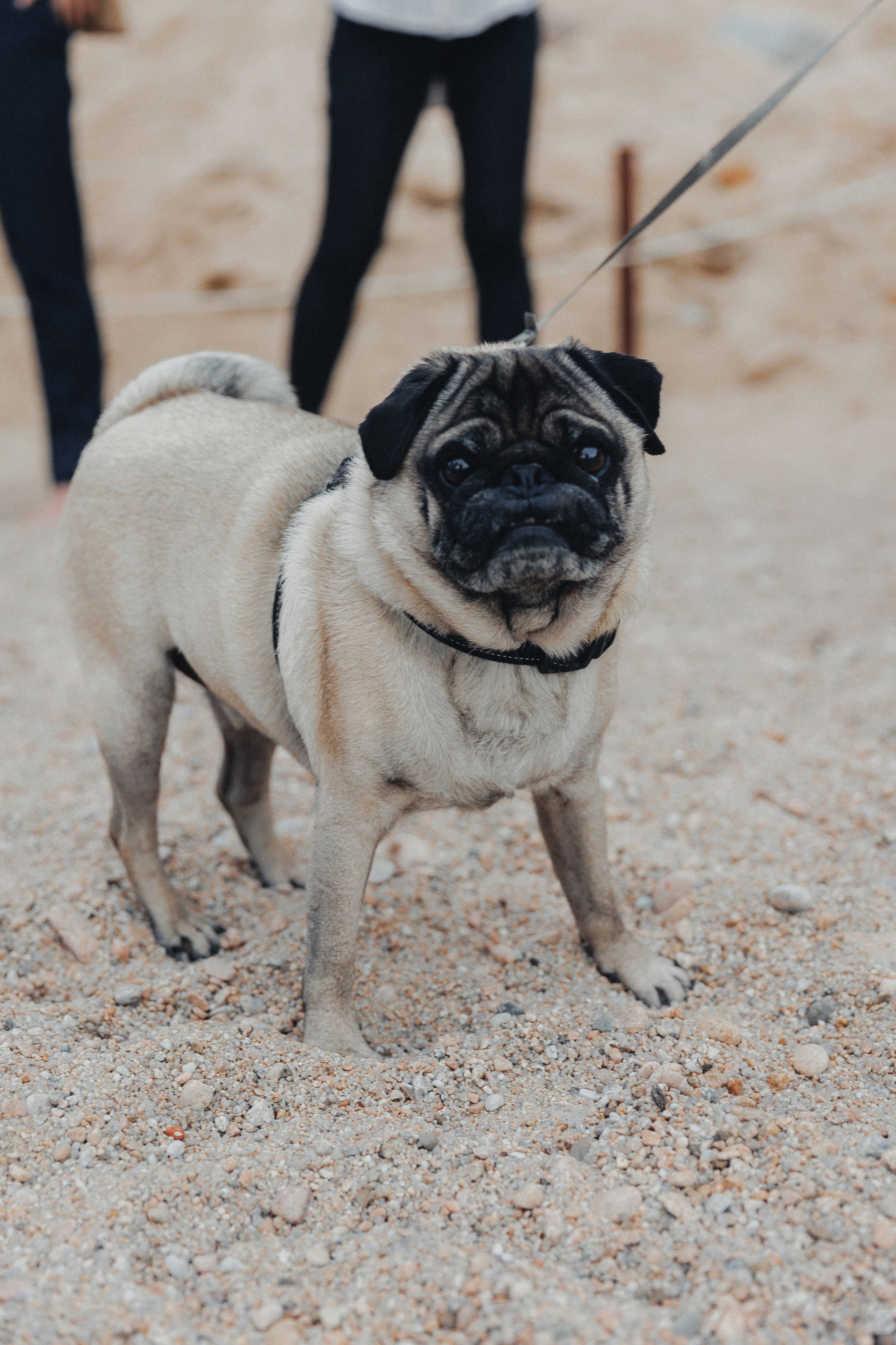David & Celine. Fotograful evenimentului tău