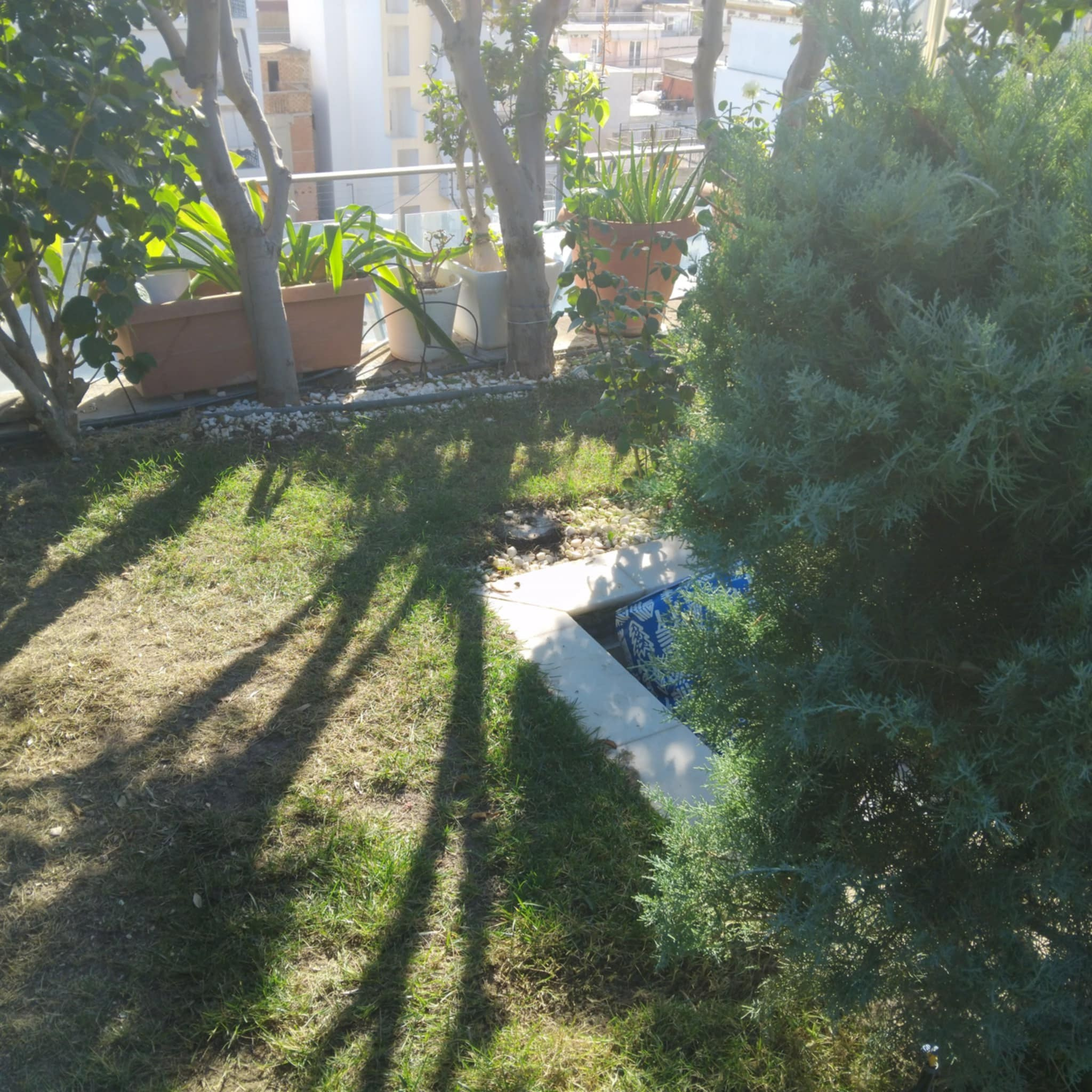 Κήπος Πειραιά. Geoponitikon-Όταν η Επιστήμη συναντά την Τέχνη στο Φυσικό Τοπίο!