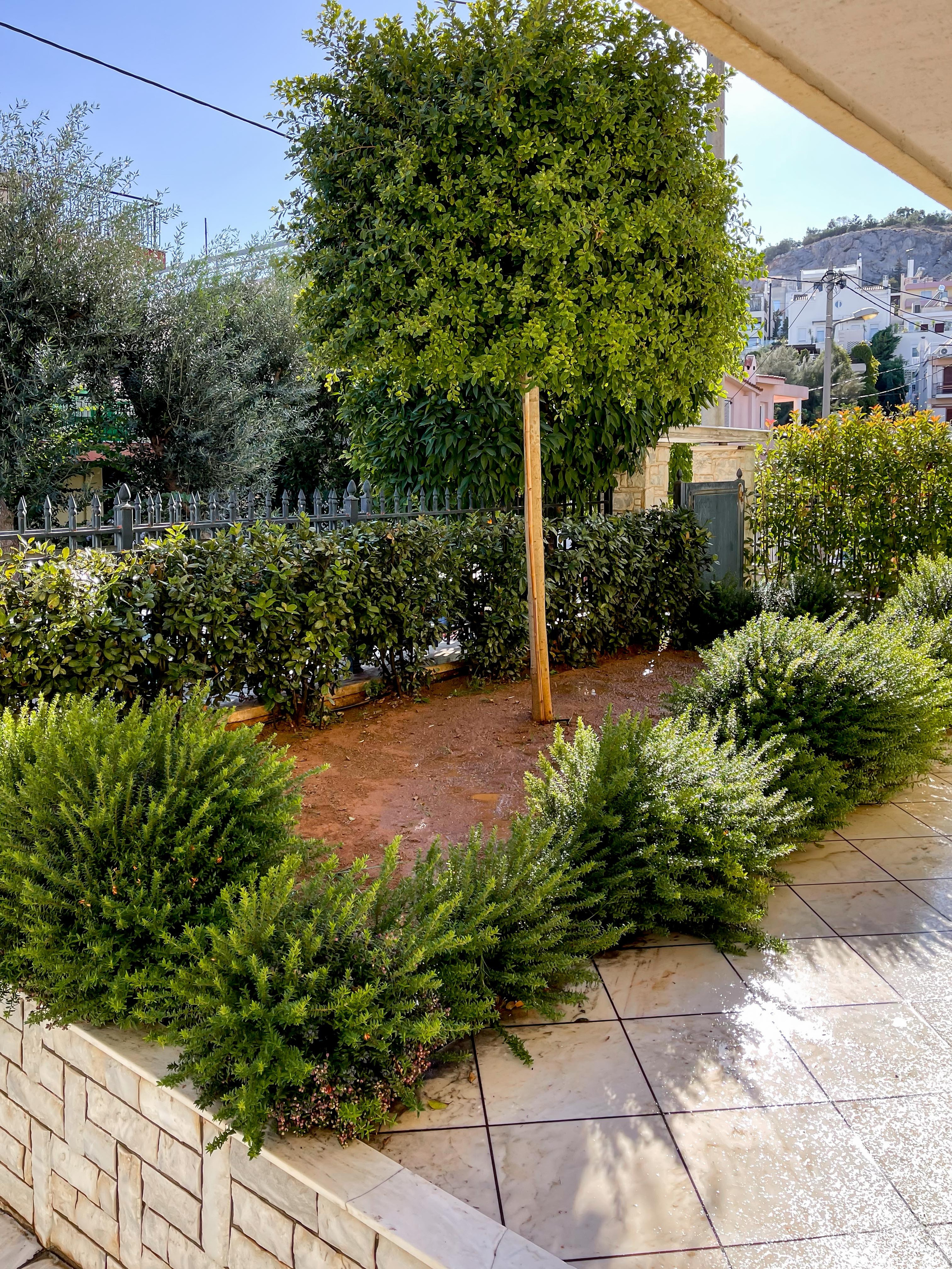 Κήπος Ψυχικό. Geoponitikon-Όταν η Επιστήμη συναντά την Τέχνη στο Φυσικό Τοπίο!