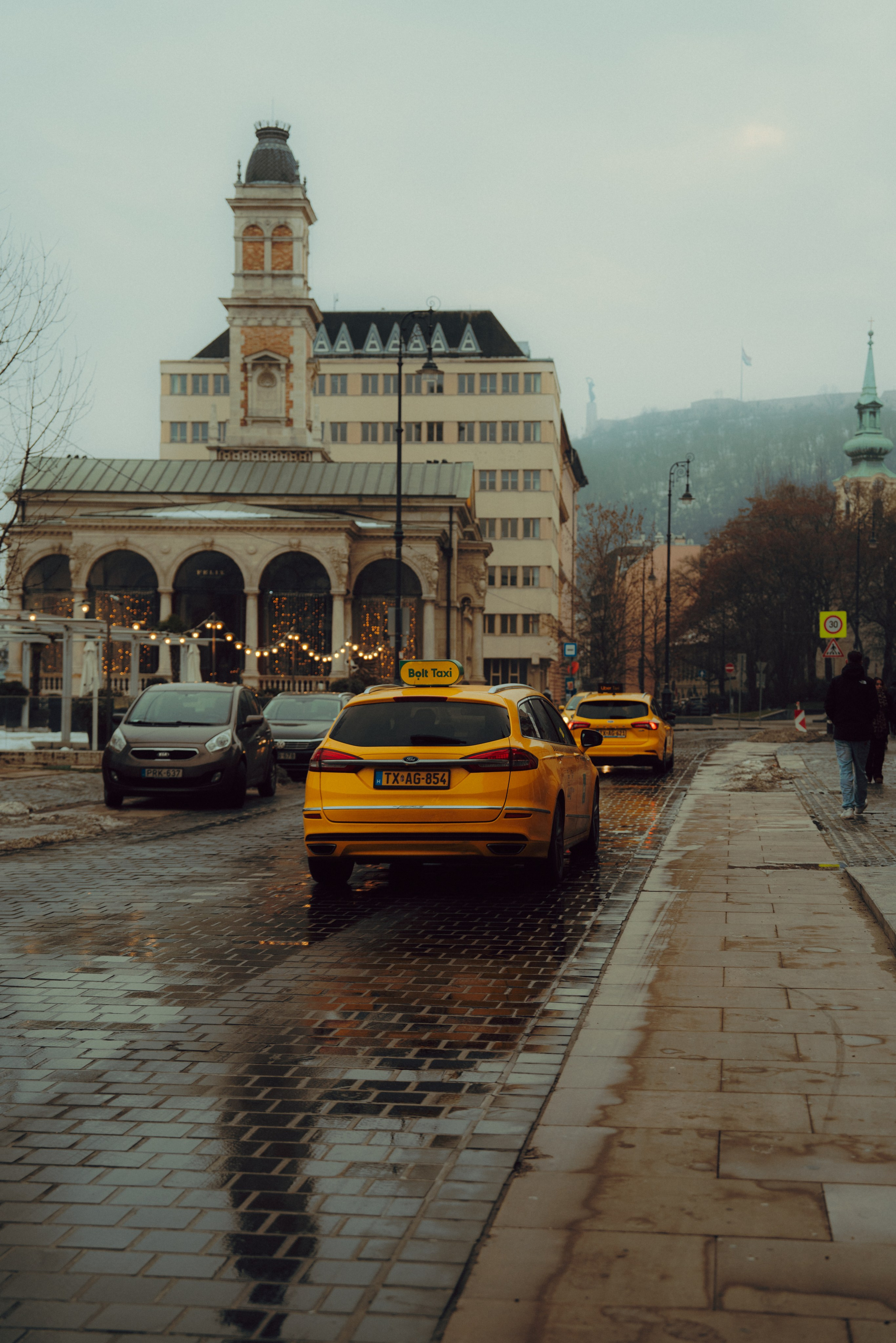 Budapest. Merabi Eminashvili