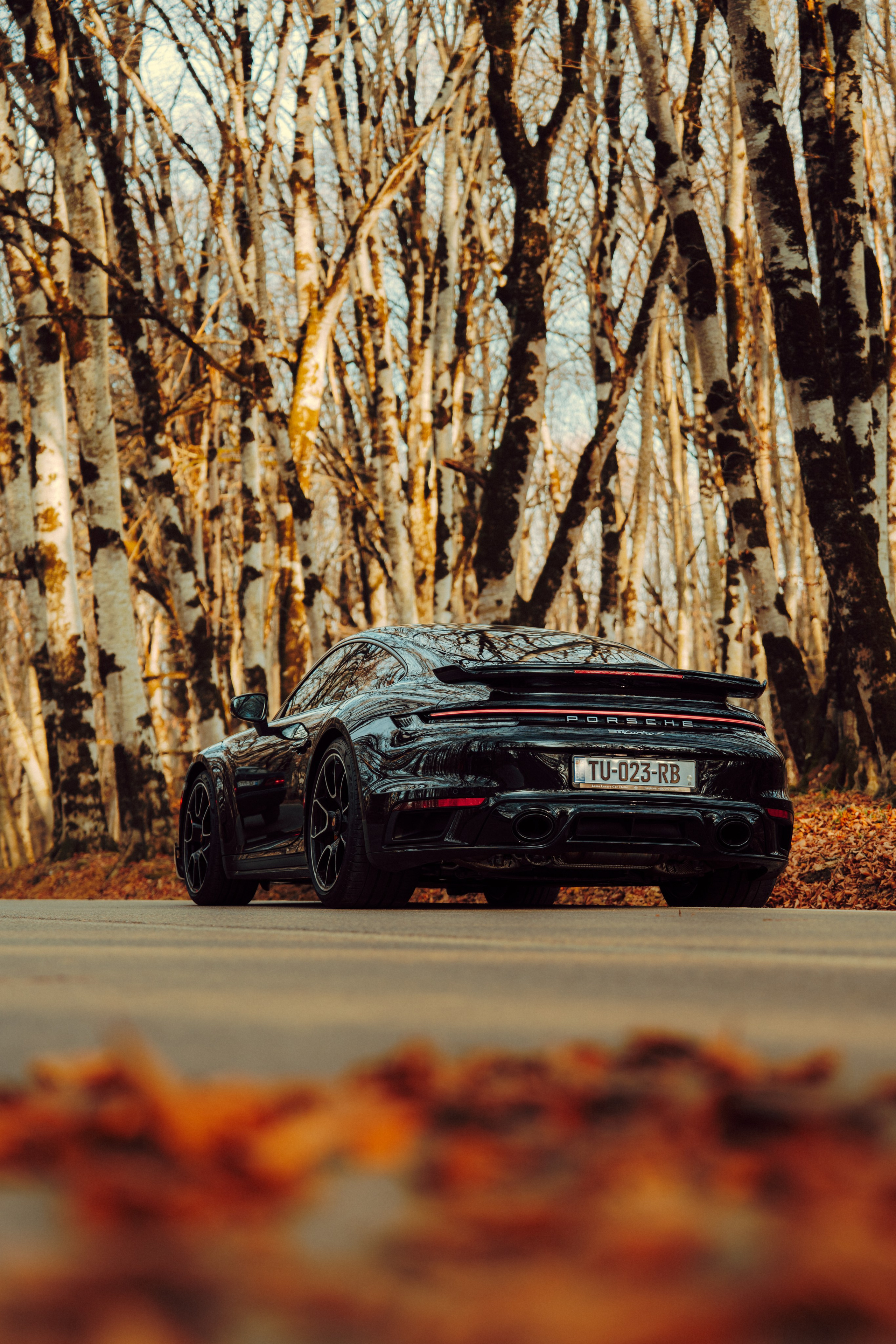 Porsche. Merabi Eminashvili