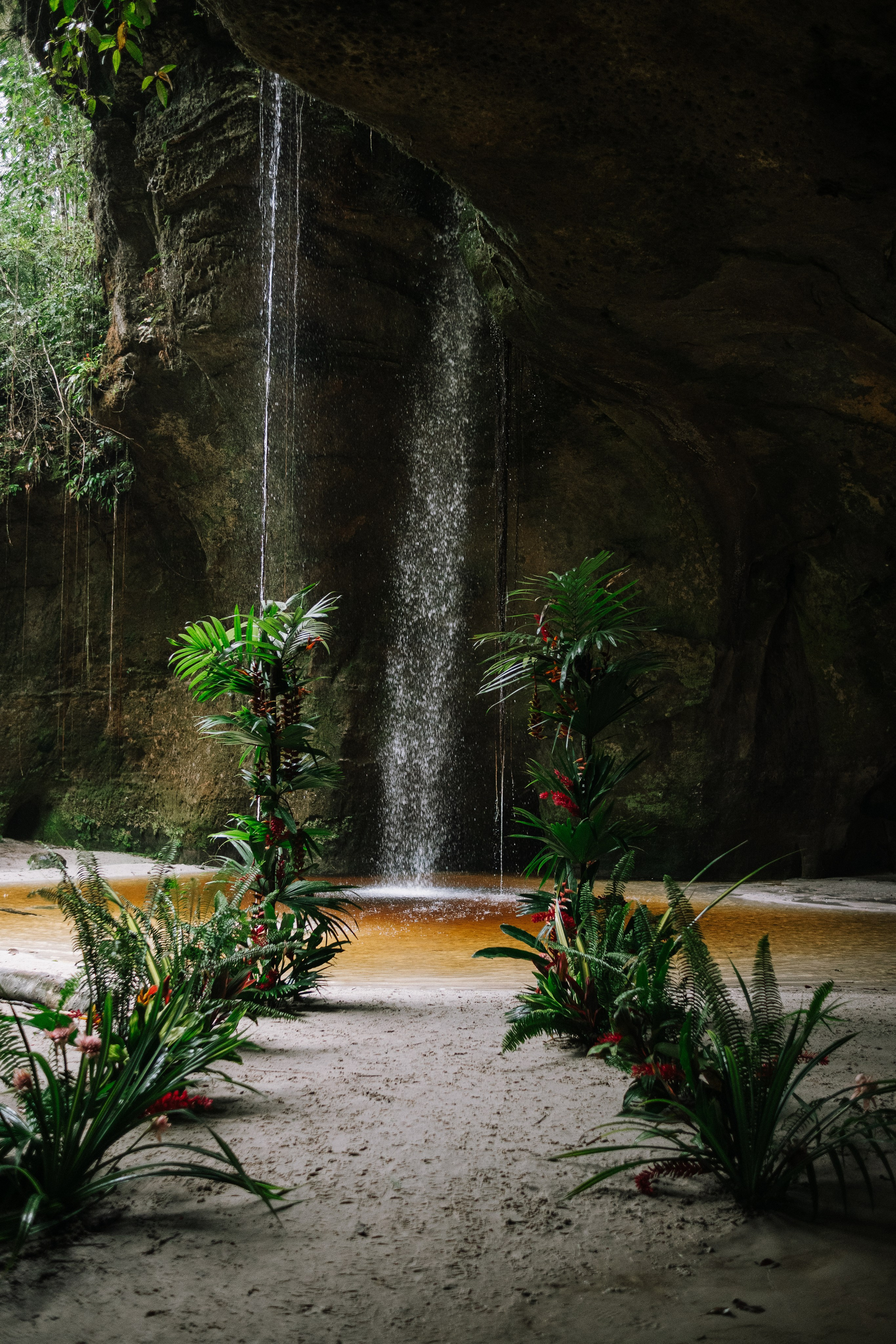 Casamento Intimista. Fotografia de Hemylle Montefusco