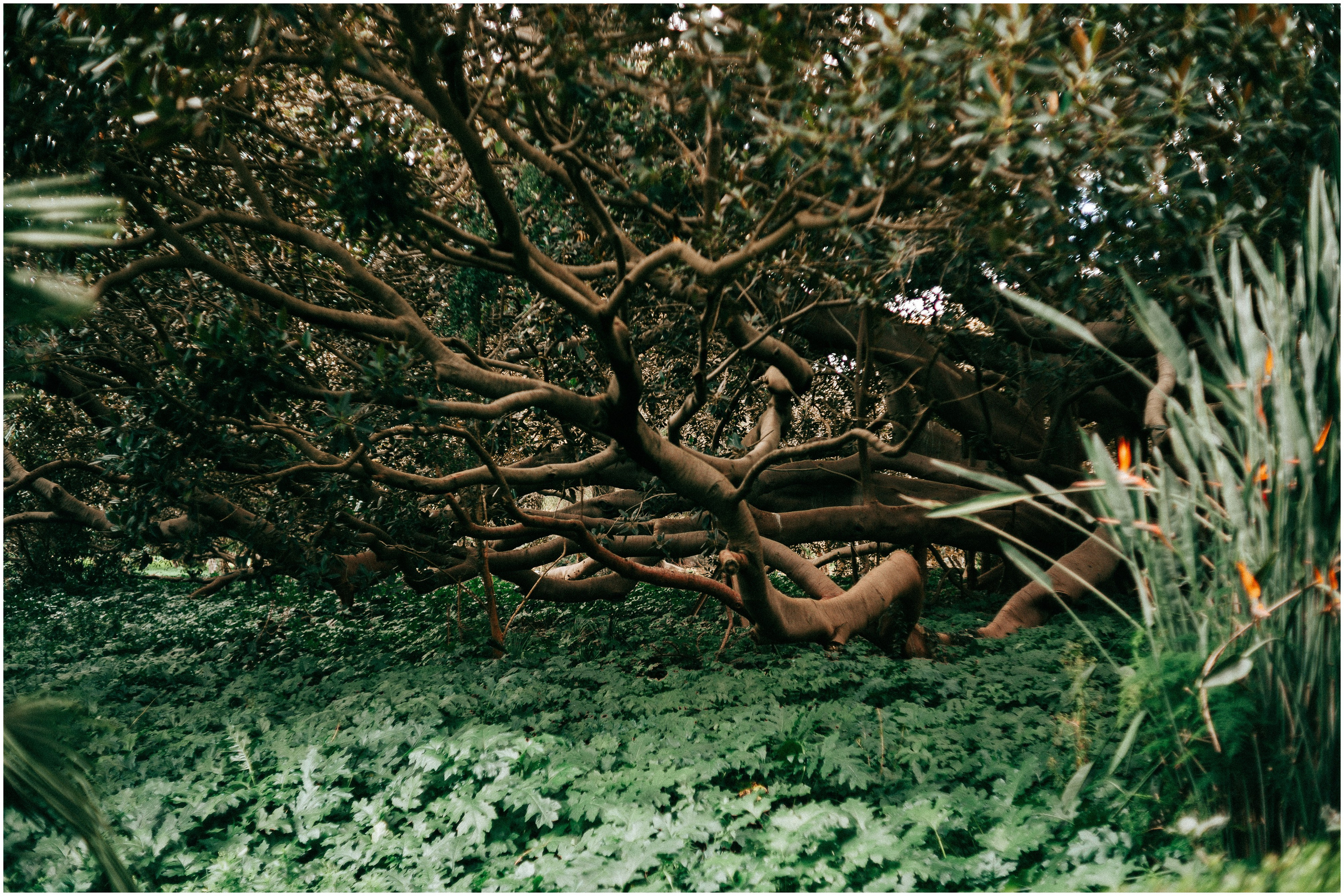 PALERMO. Photographer Inna Mendelson