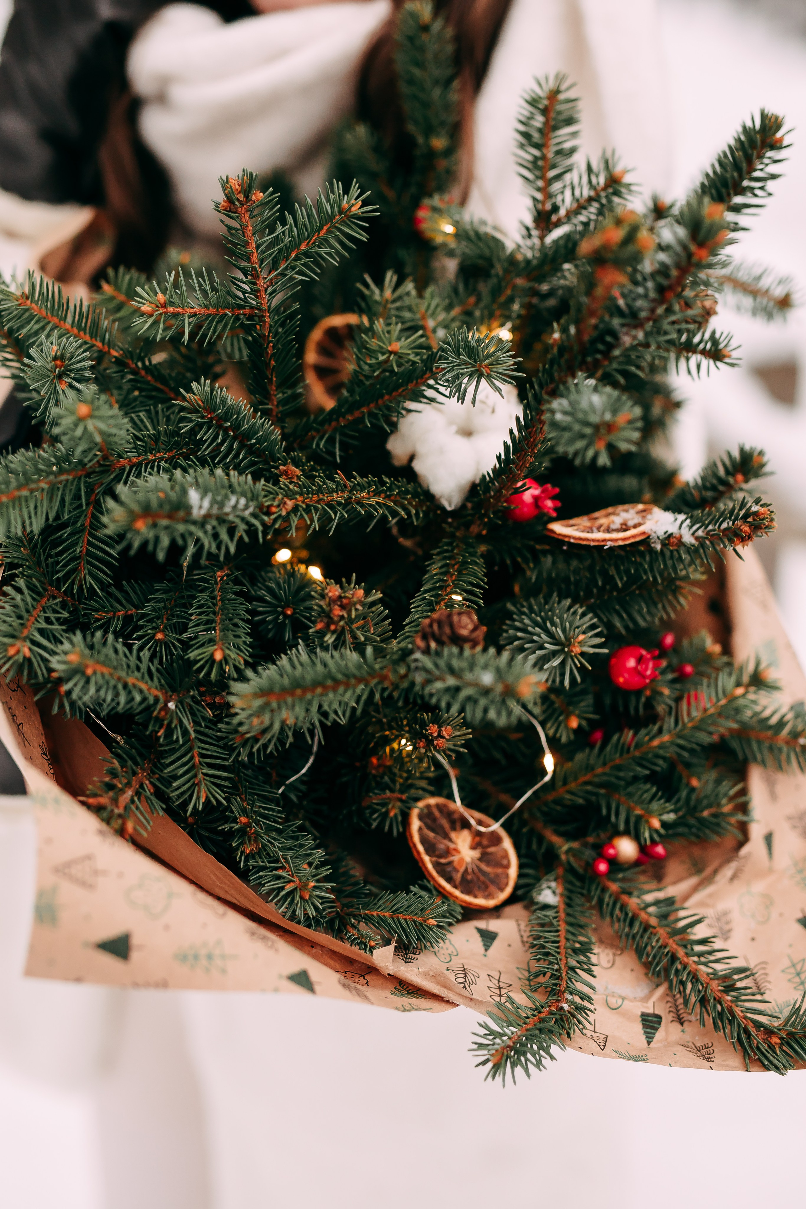 Elija. Fotogrāfe Līga Vaidere