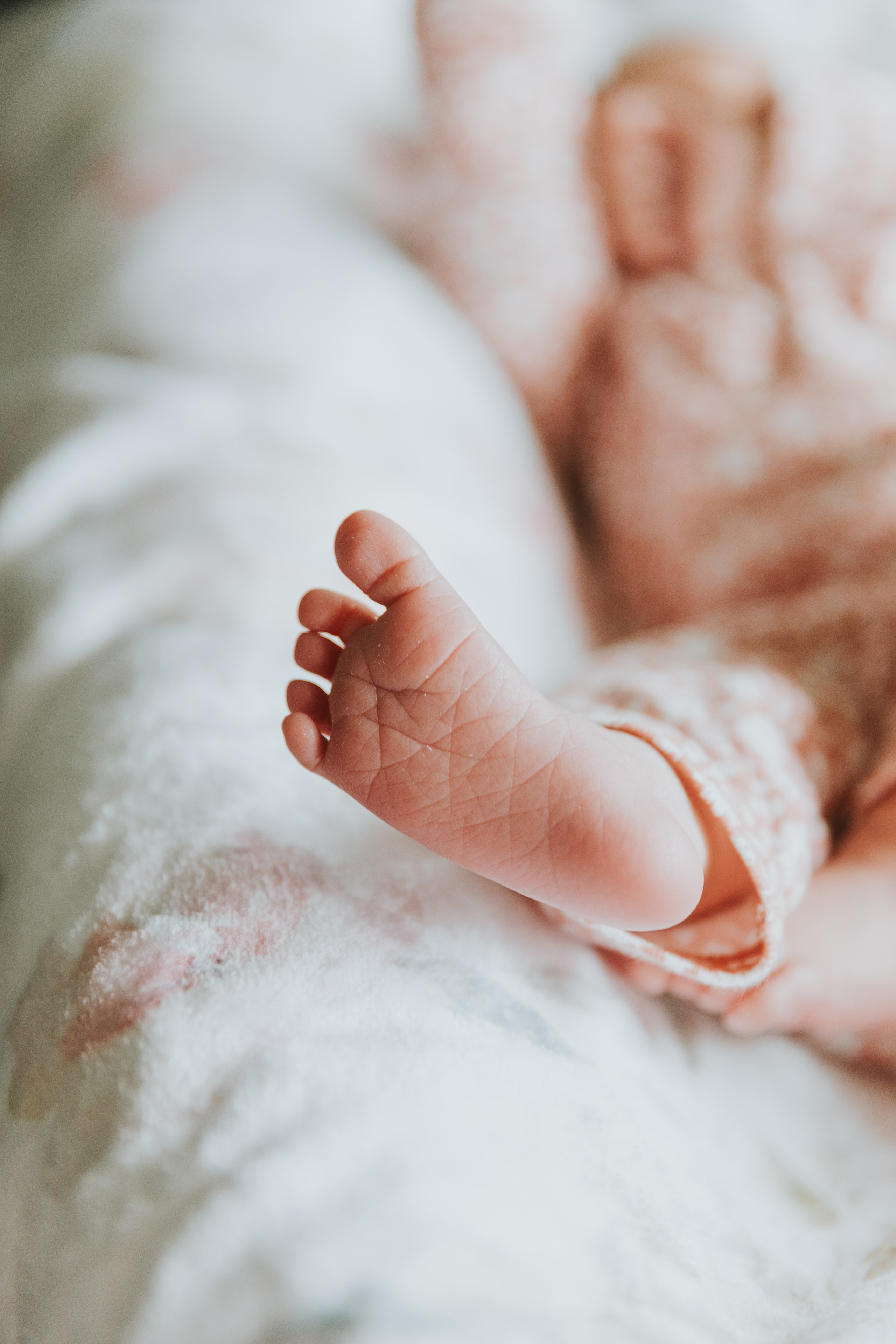 Newborn | In Home. Utah Family Photographer