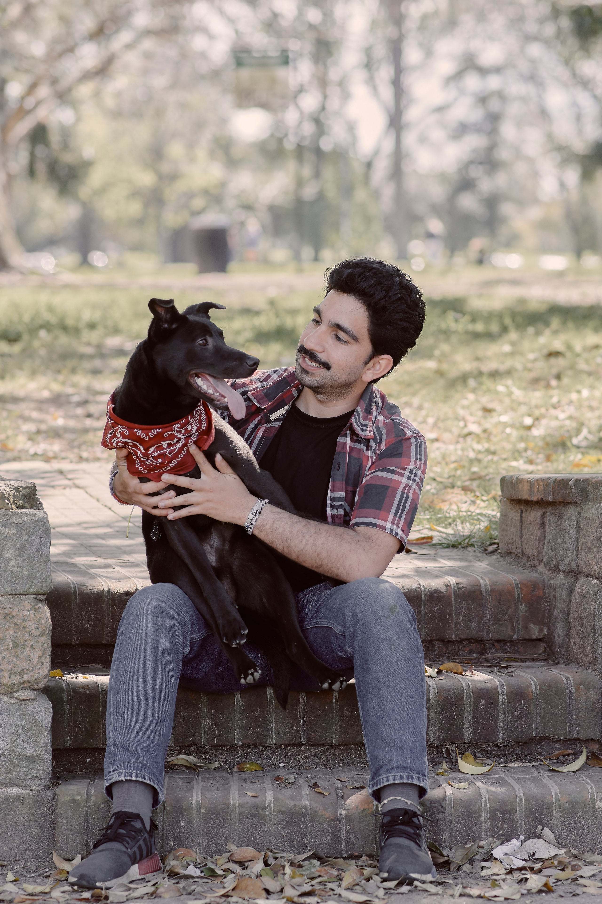 Frankell & Ruben. Valssy – Fotografía de mascotas en Uruguay. Retratos profesionales de perros y gatos