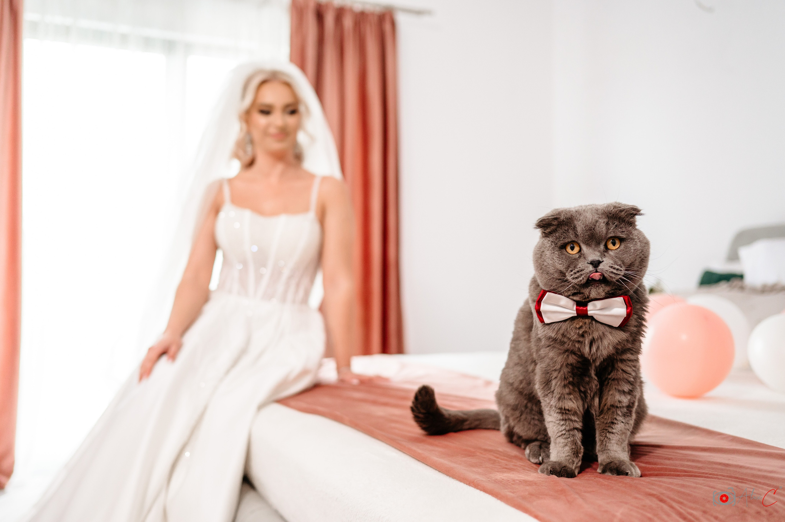 Diana&Cătălin. Fotograf de evenimente