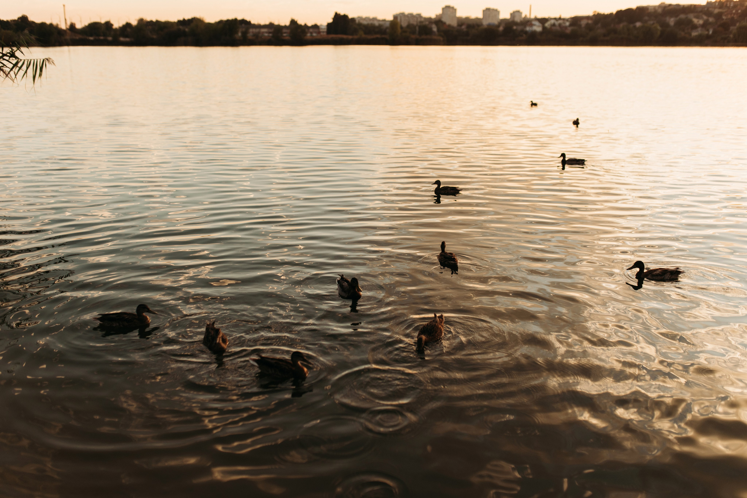 Marina & Artem & Timur. Familien- und Hochzeitsfotografin. Ich arbeite in Koblenz und Rheinlan
