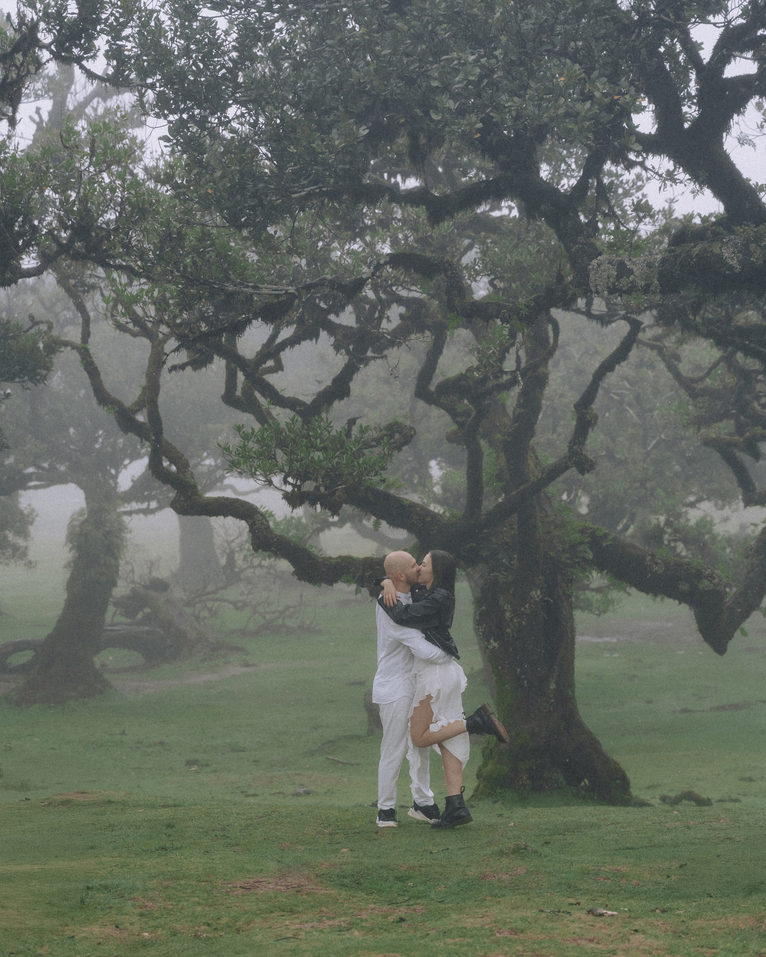 Proposal Photoshoot in Madeira | Stanislav & Katya, Fanal Forest. Your photographer in Madeira