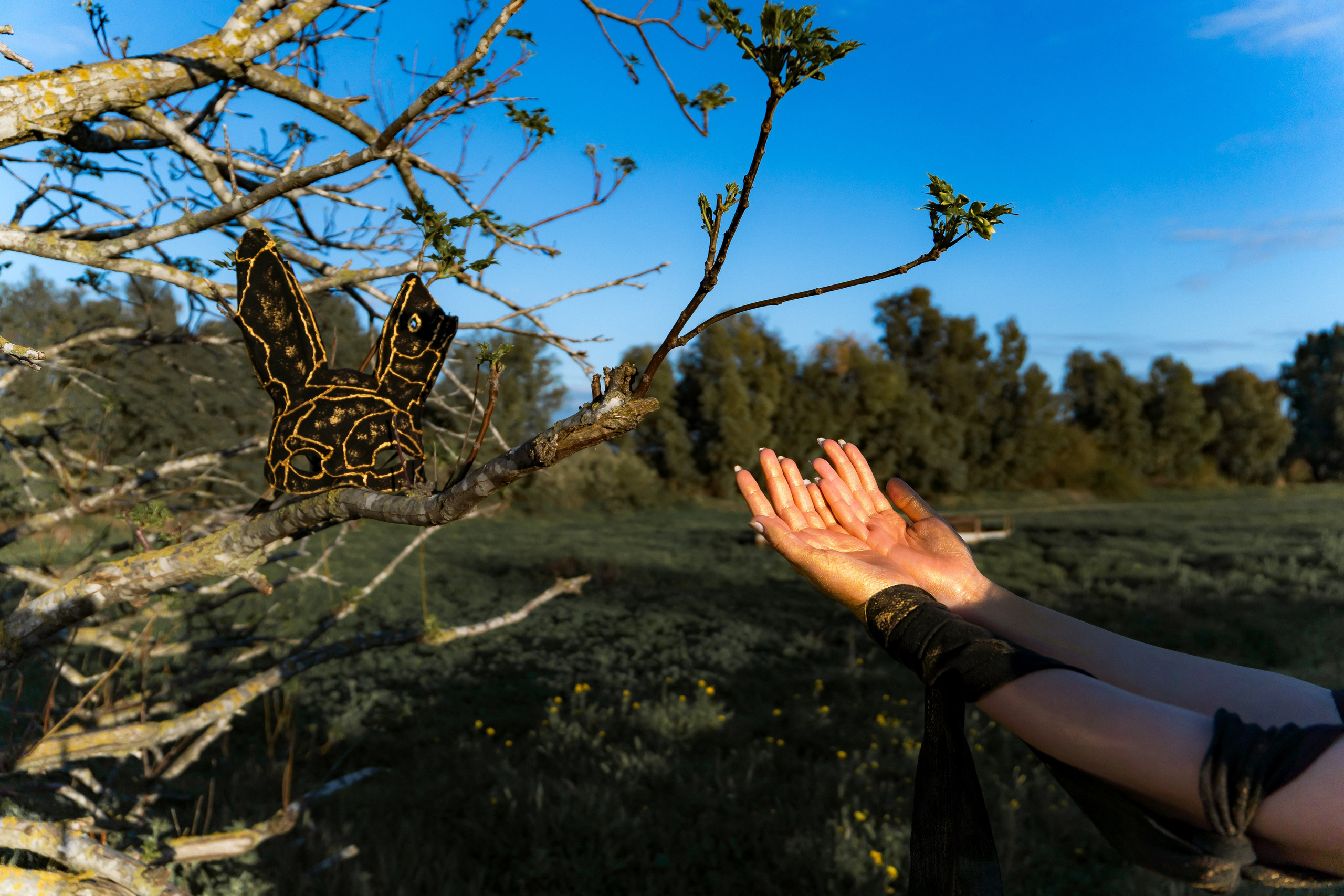 Dayana. Art and outdoor photography