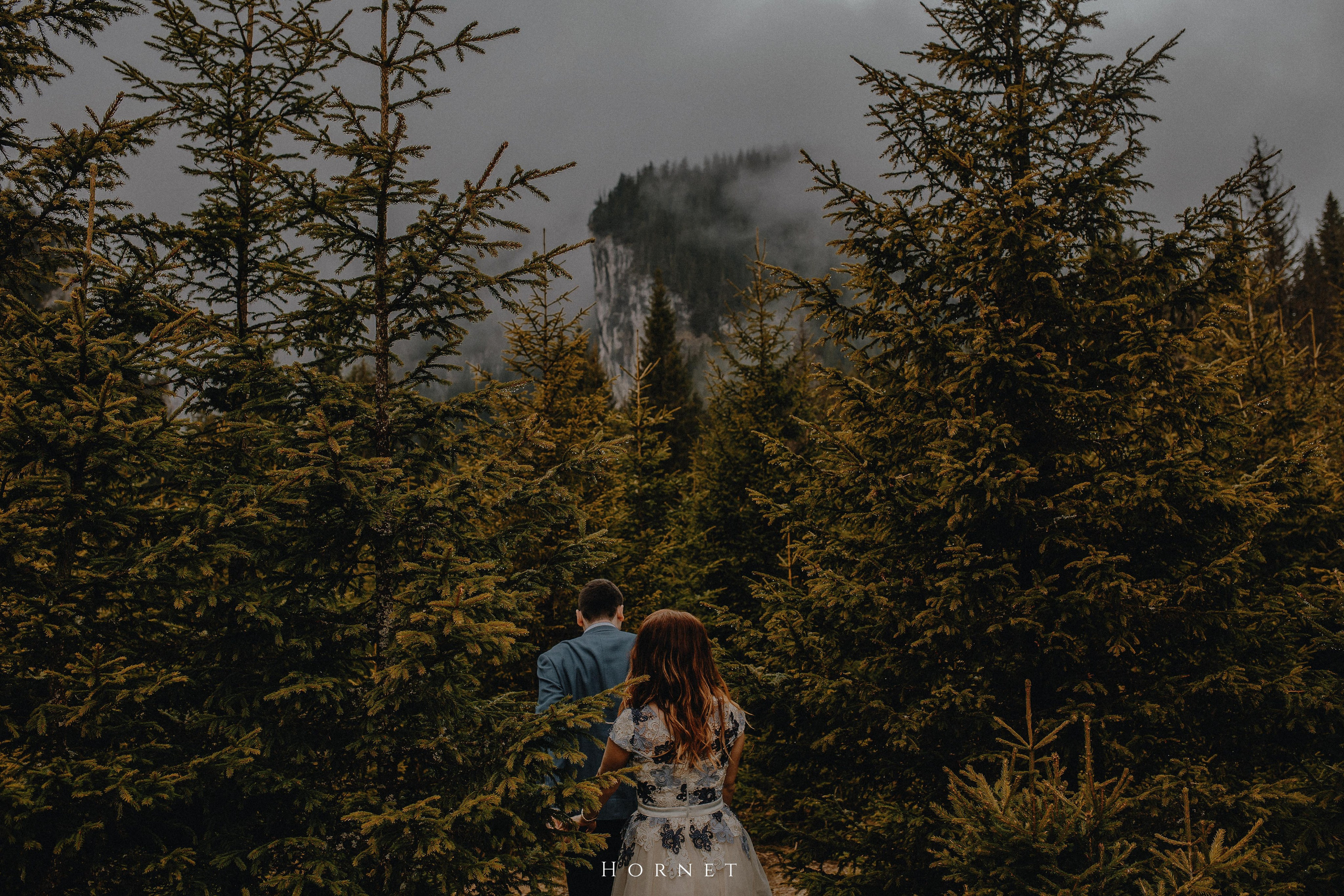 Alina + Dani. Hornetart