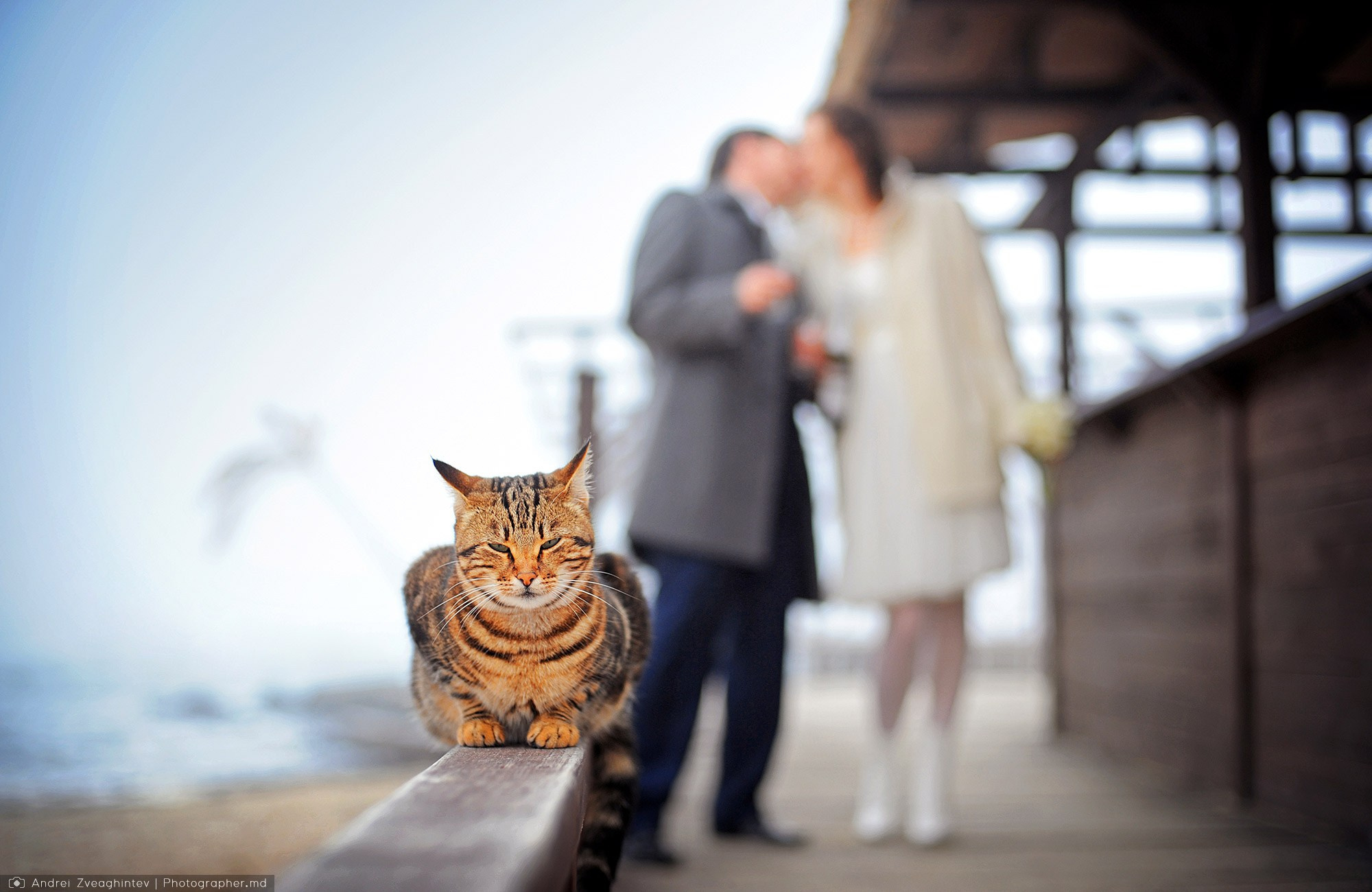 Fotograf nunta in Odessa — Andrei Zveaghintev. Fotograf nunta si familie in Moldova, Chisinau - Andrei Zveaghintev
