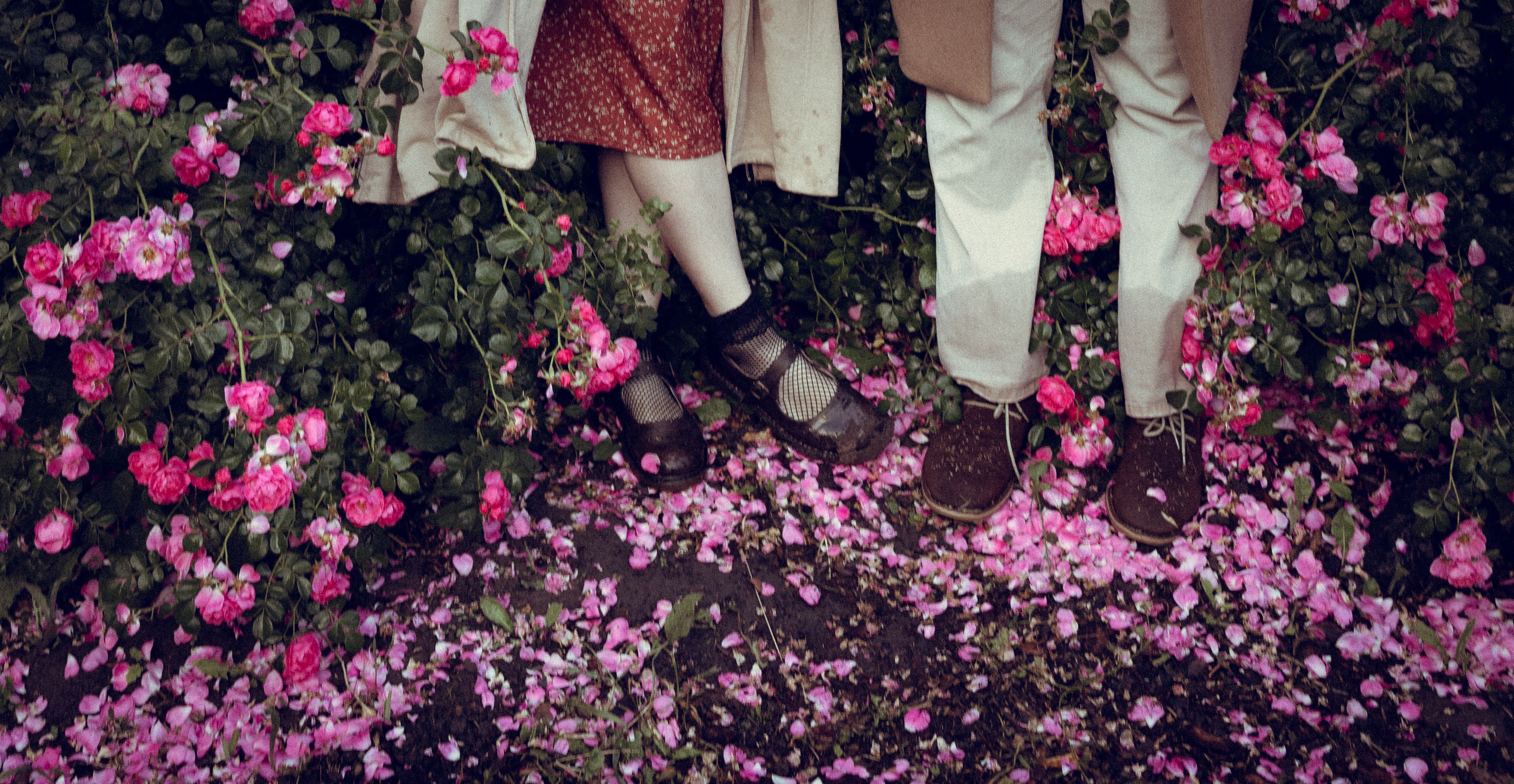 Histoire d’amour. Histoires d’amour, séances photos de famille et de mariage en France