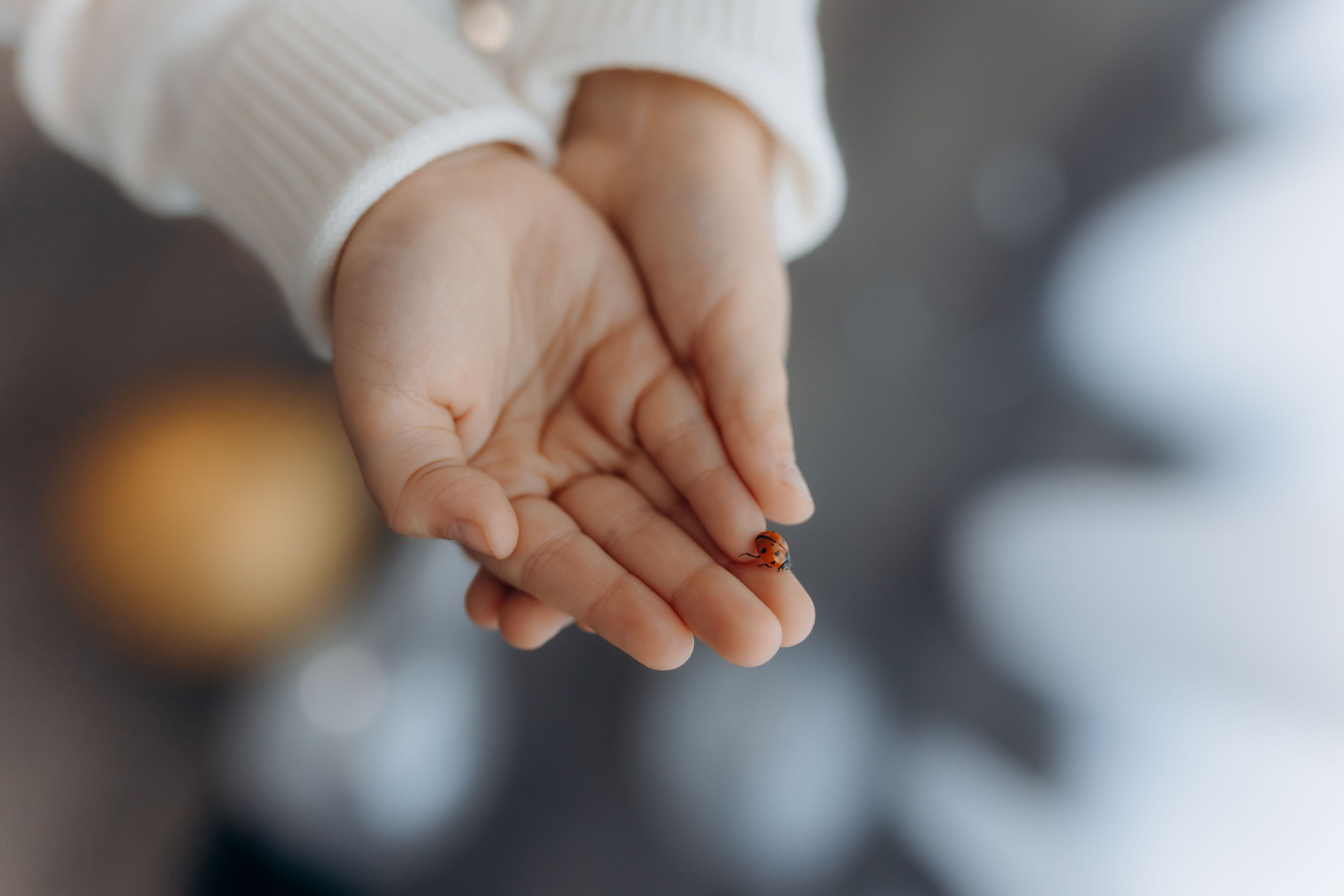 Povestea voastră, regizată de noi |Cristi Turculet Videograf Nuntă Suceava | wedding highlight. Servicii foto-video profesionale, pentru momente de neuitat