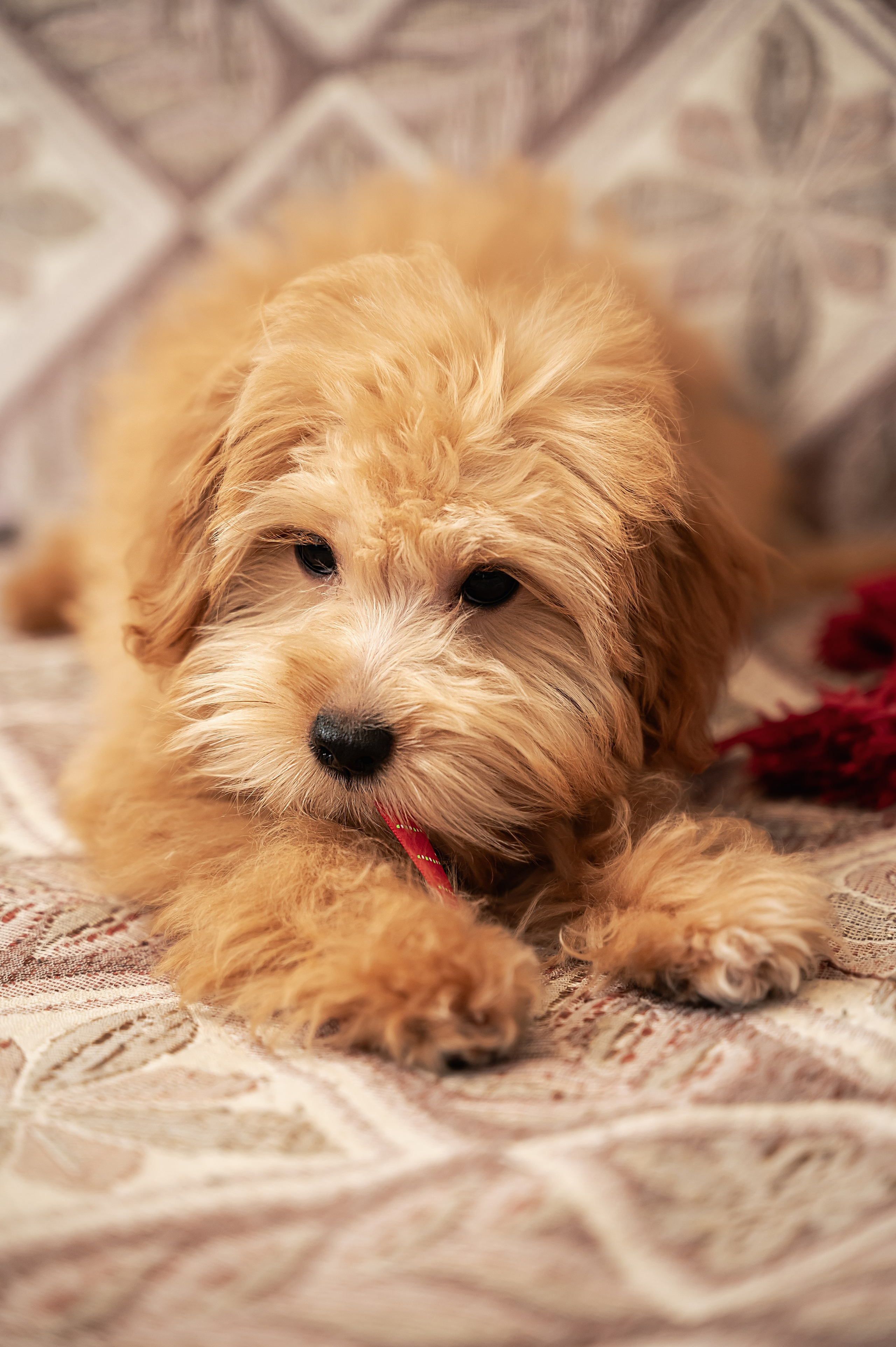 Мики. Главная