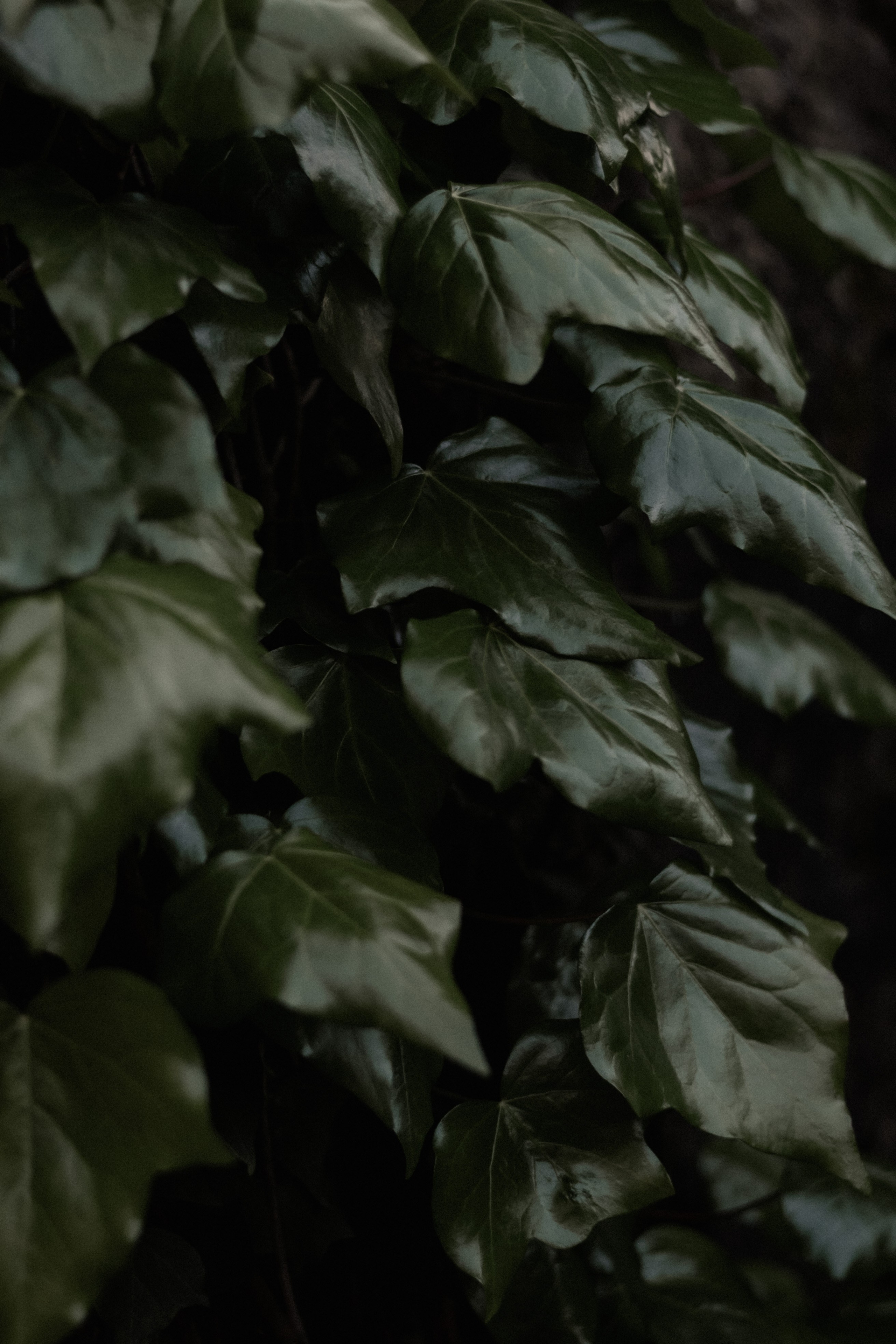 22:22 | Paarshooting in Ansbach. Fotografin Ansbach - Paare | Hochzeit | After Wedding