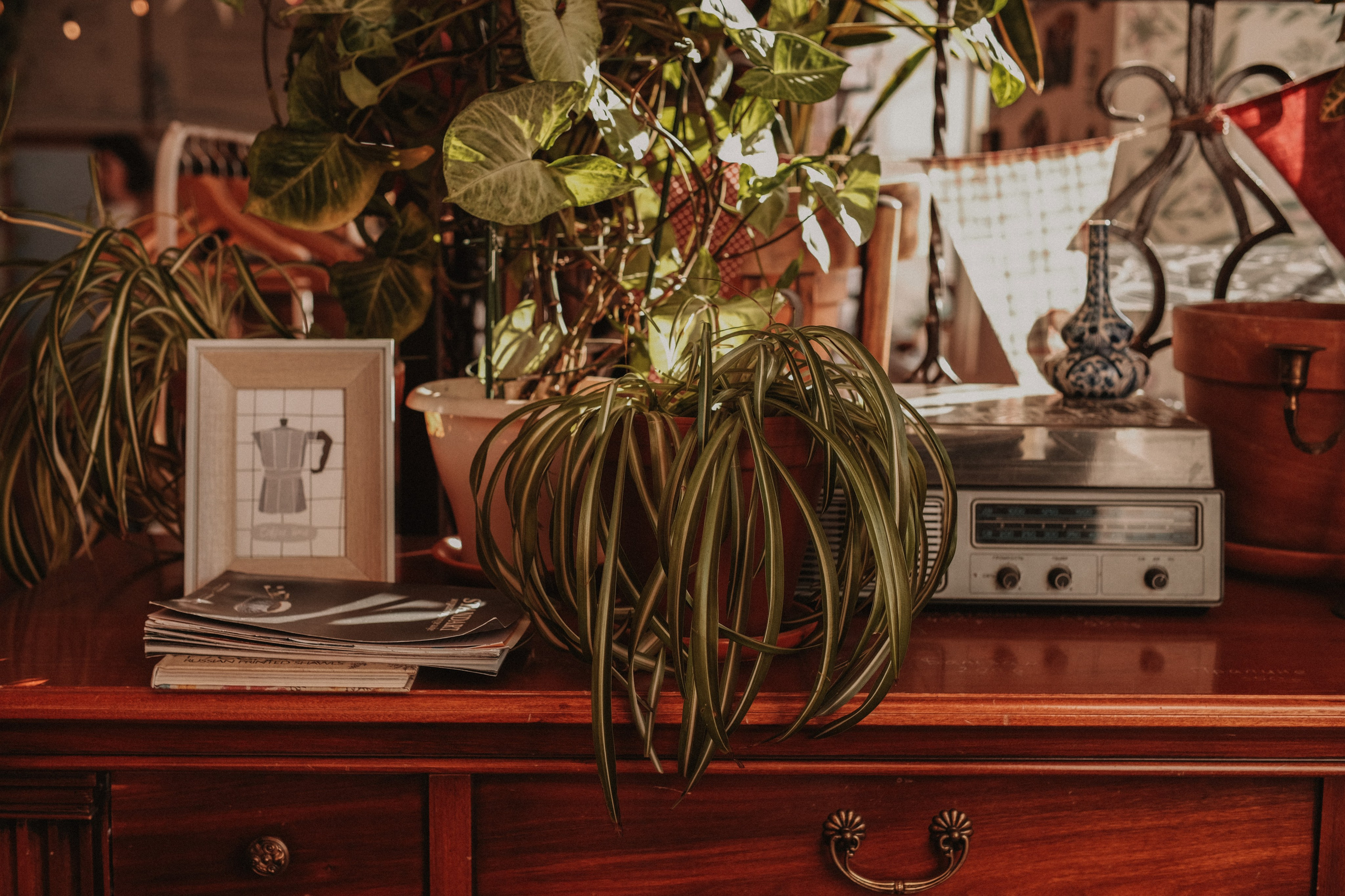 Lighthouse Coffeeshop. Lens Captures Life