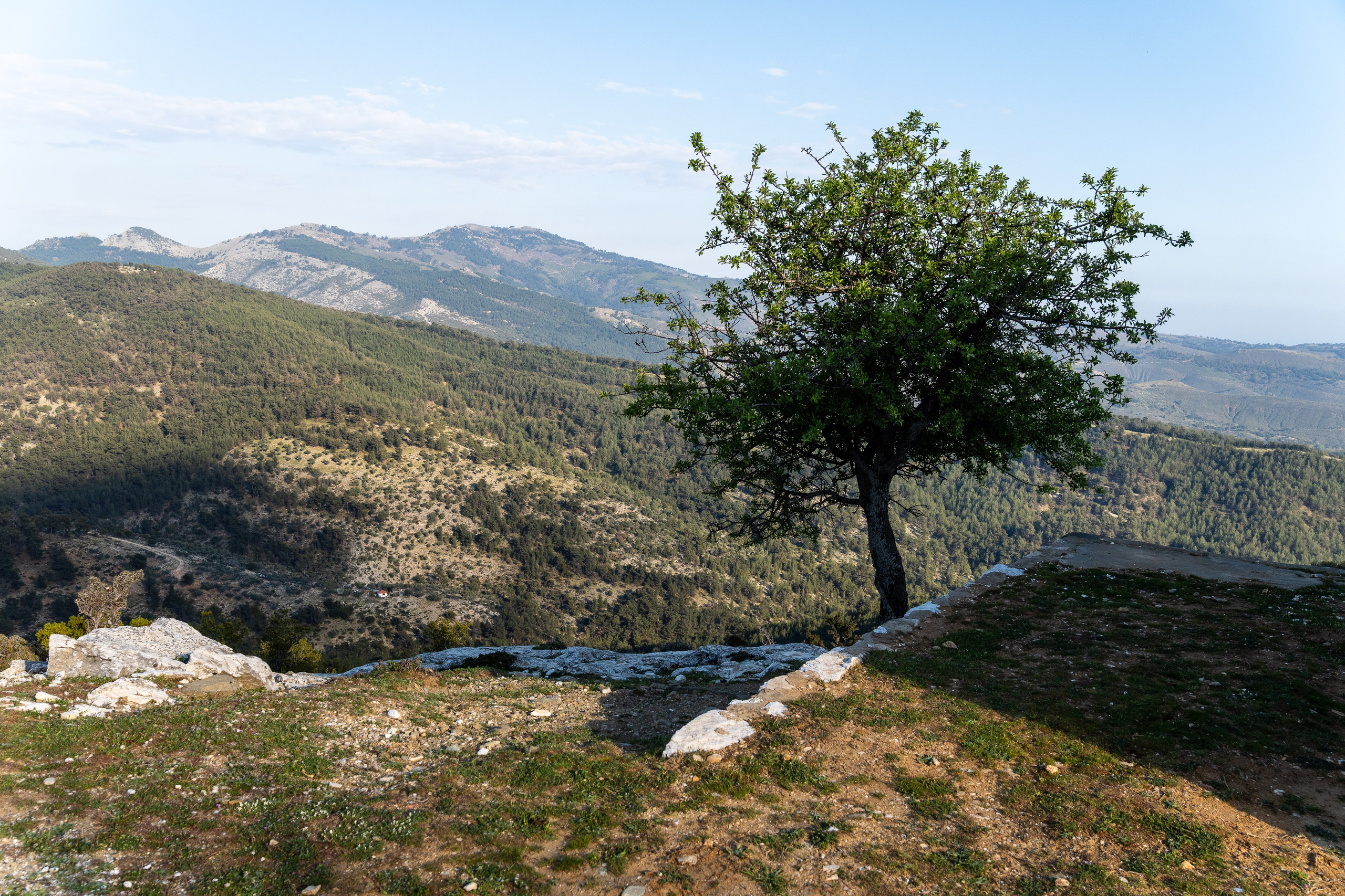 Thasos 2025. Fotografiideplacere.net