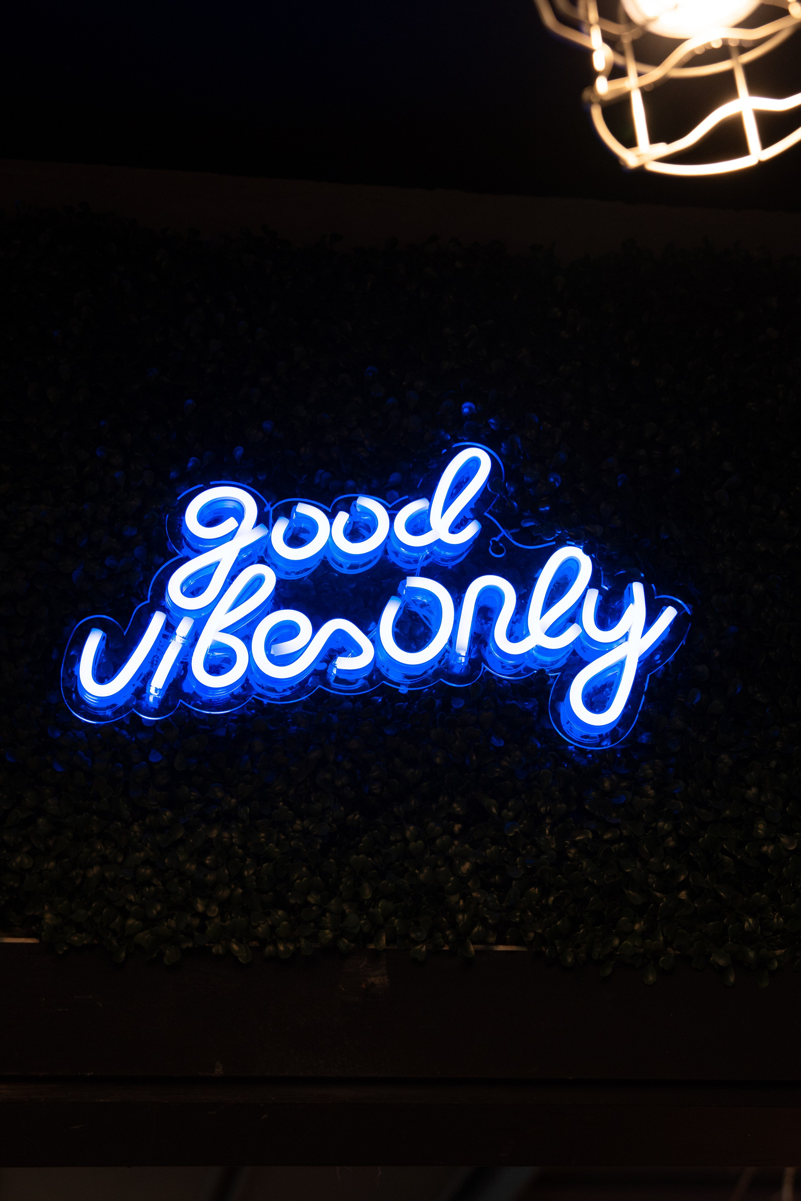 Partigiano. Контент-фотограф Алина Филимонова