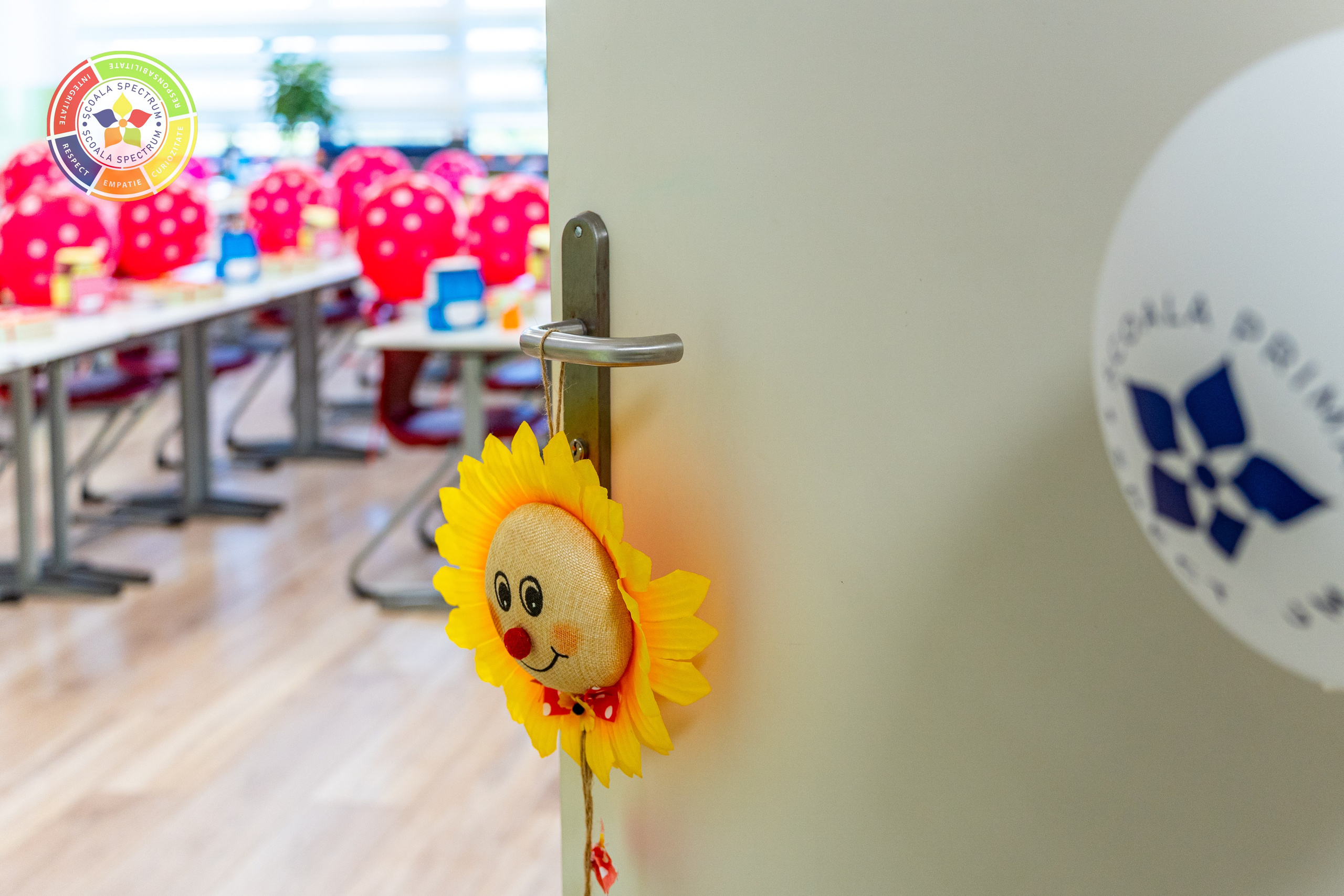 Scoala Gimnaziala Spectrum Constanta. Adelinne