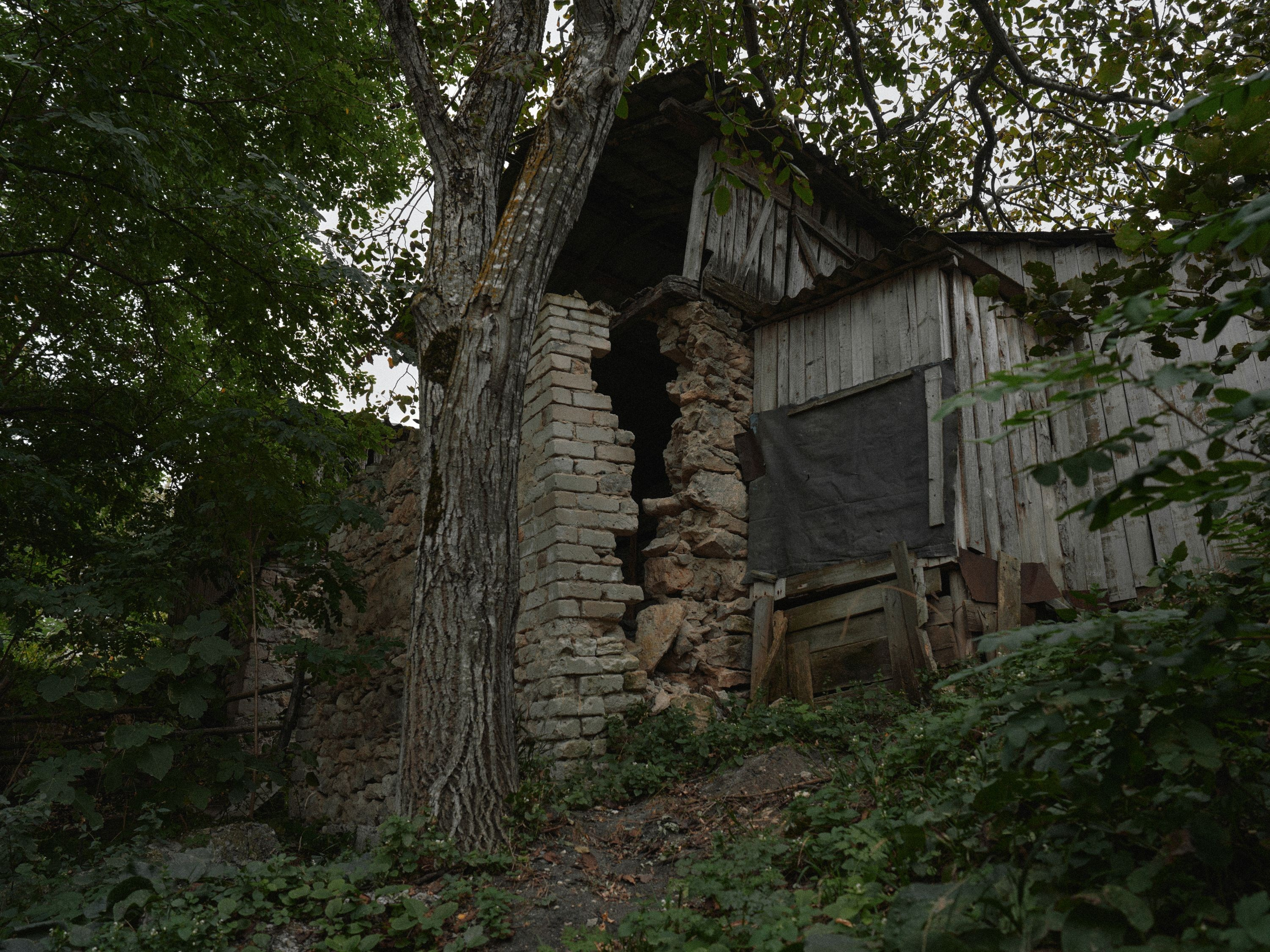 Scars of Shukruti. Egor Borie