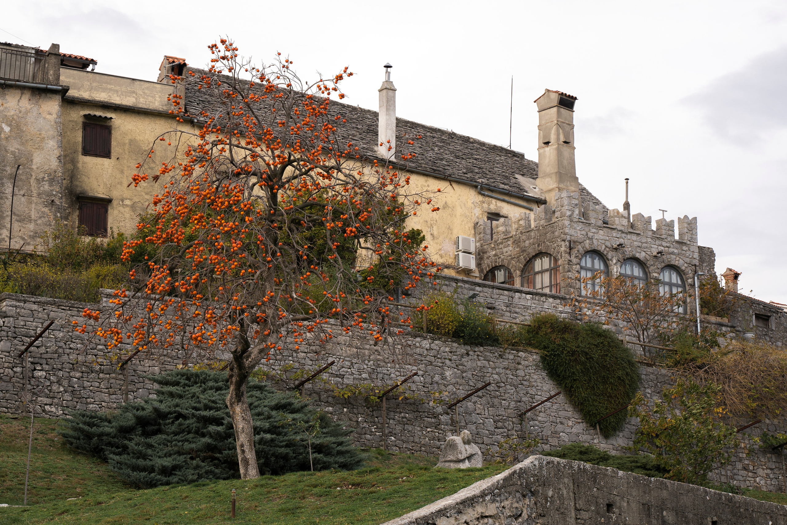 ŠTANJEL. Photographer Mariia Bortiakova