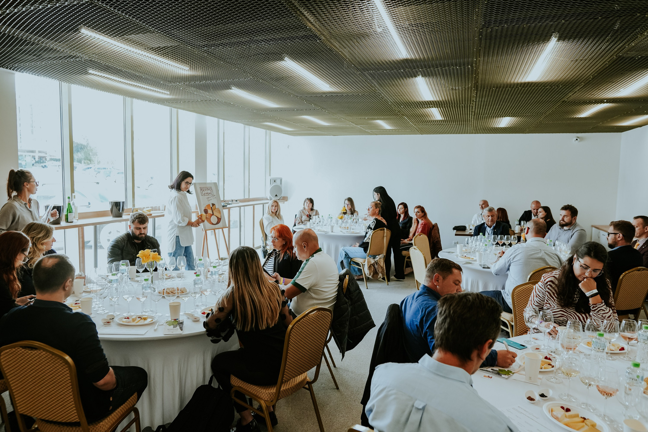 Hai cu Pluta — Wine Event. MARINABUGS