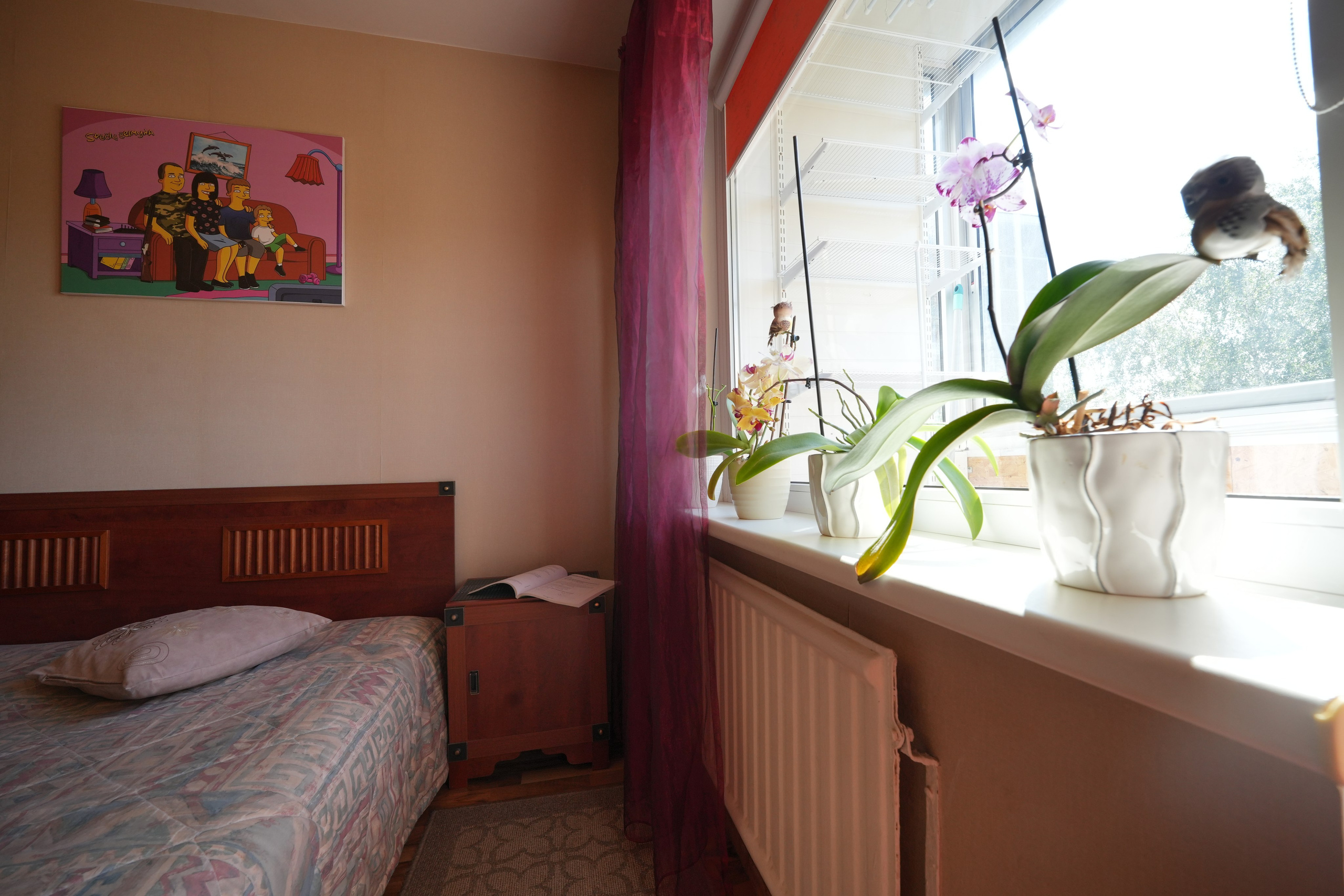 NT fotografas Vilniuje — Nuotraukos tą pačią dieną!