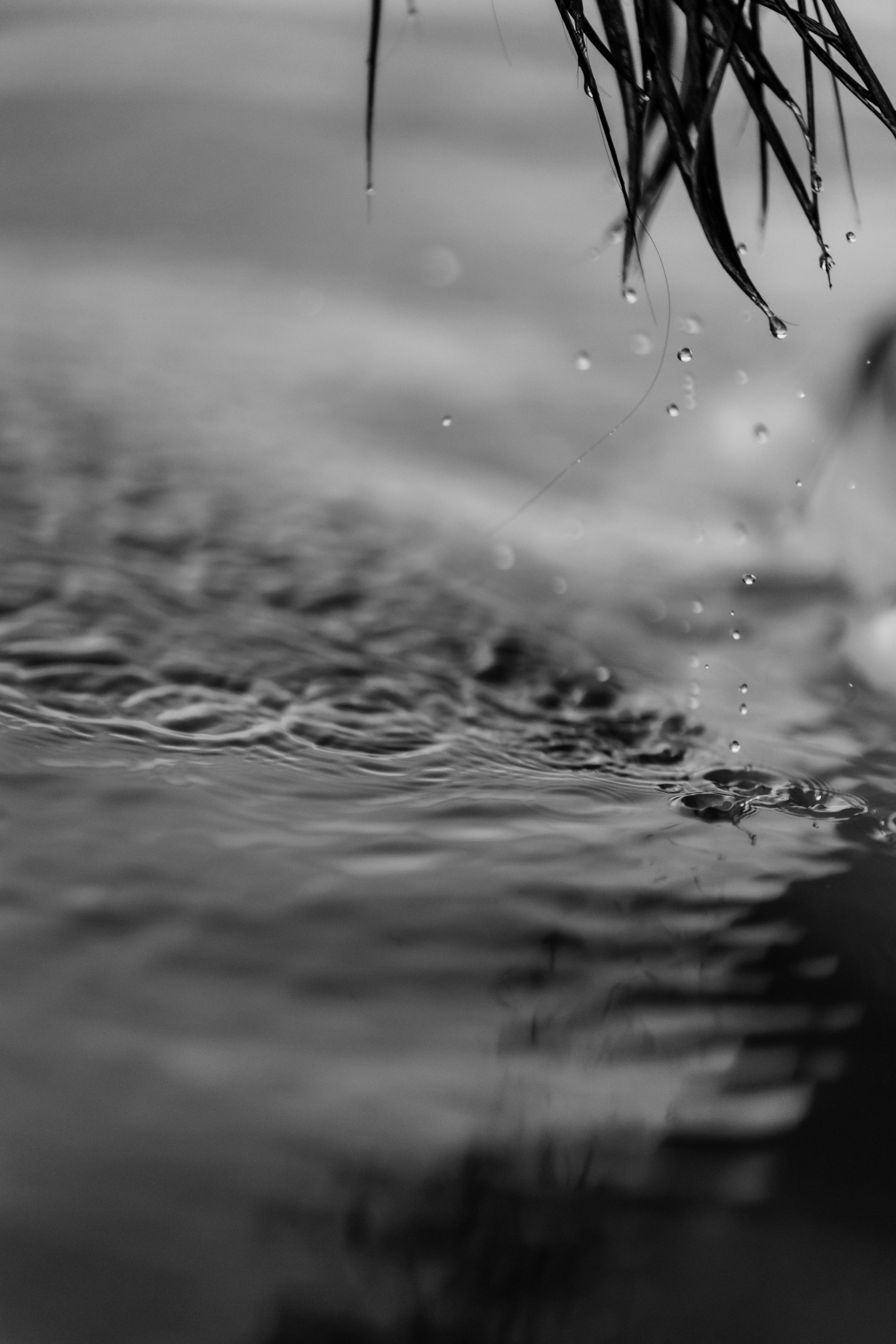 Индивидуална Фотосесия. Фотограф Ирина Йотова