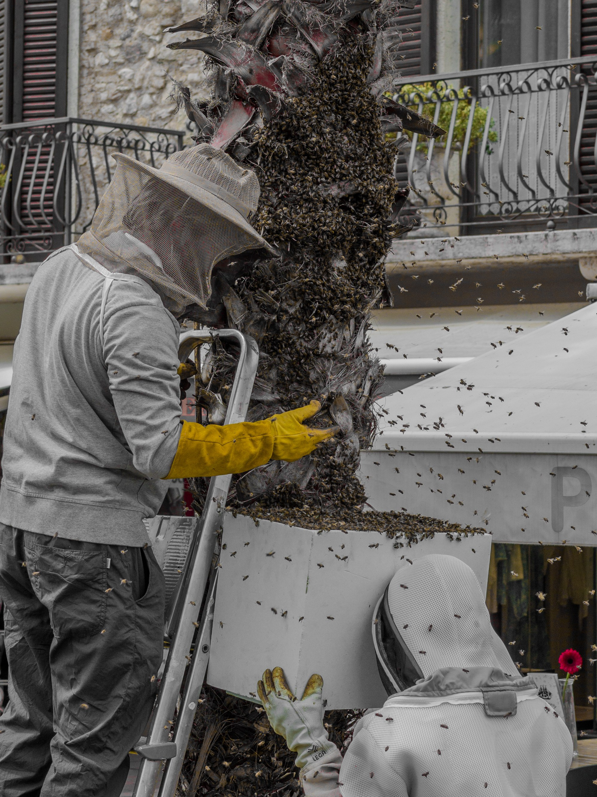 Уличная фотография в Италии | Street photo Milano, Verona, Como. Ale Kor — Фотограф в Италии | озеро Комо, озеро Гарда, Верона, Доломиты
