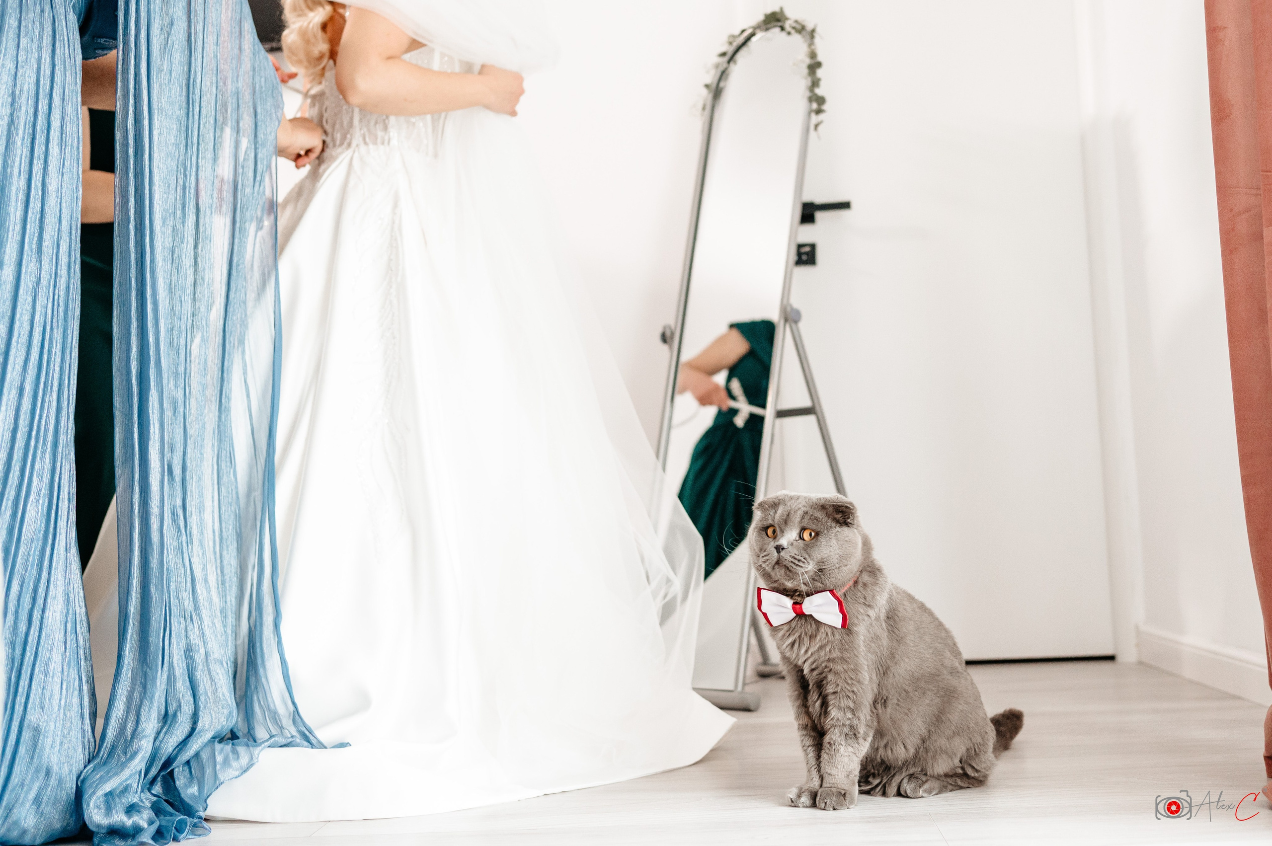 Diana&Cătălin. Fotograf de evenimente