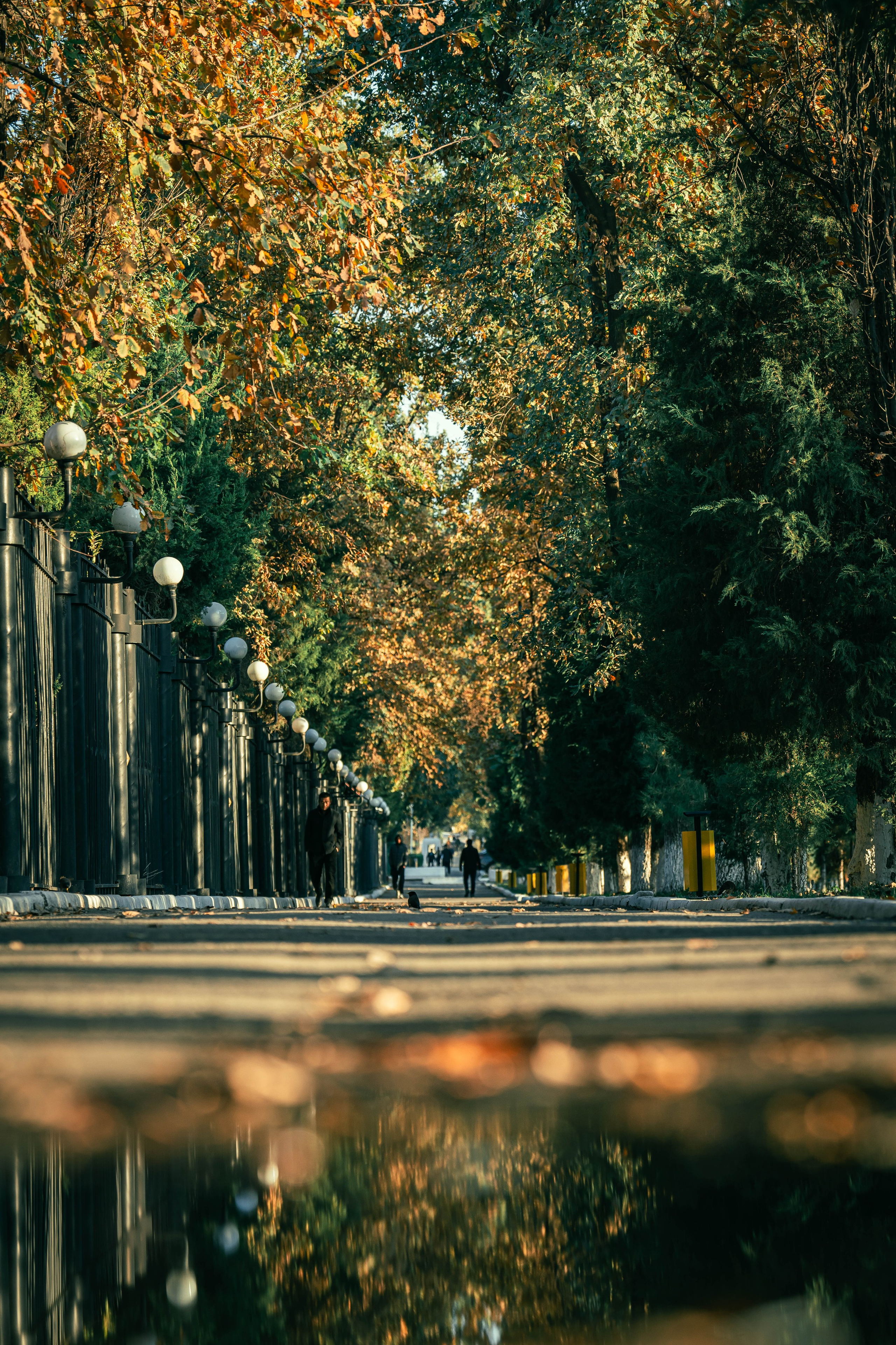 Ташкентская осень. Георгий Намазов | Фотограф в Ташкенте