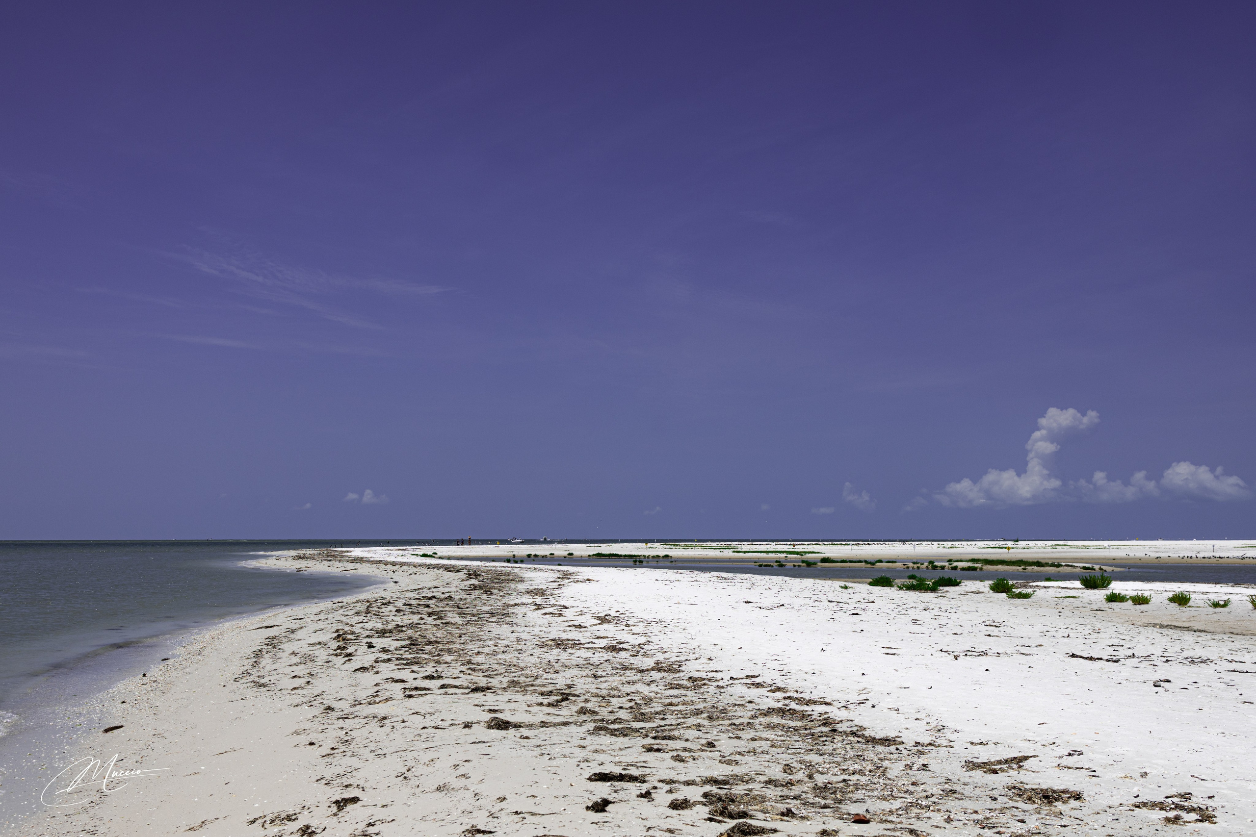 Fort Myers. Out and About 239