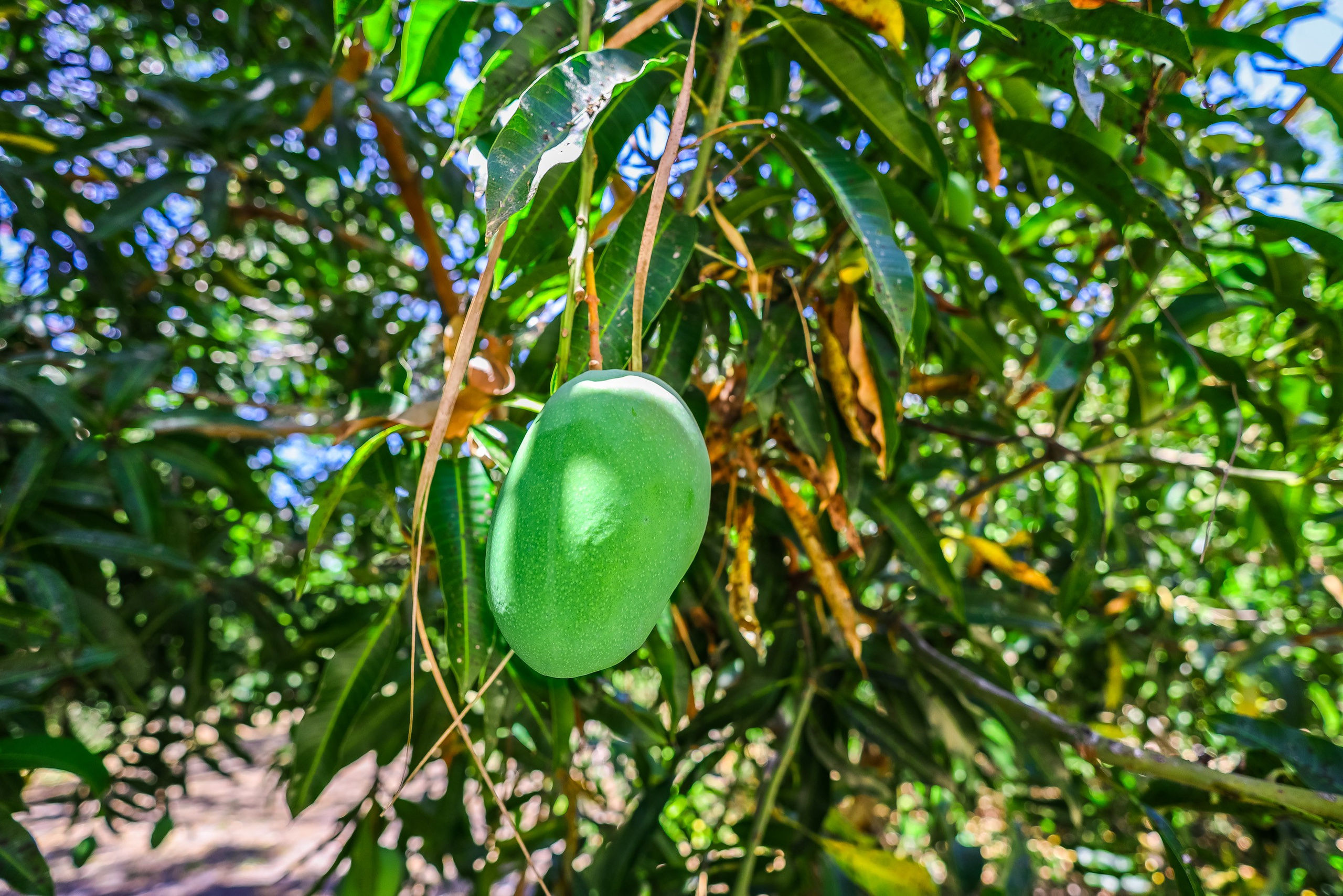 Sample D. Out and About 239