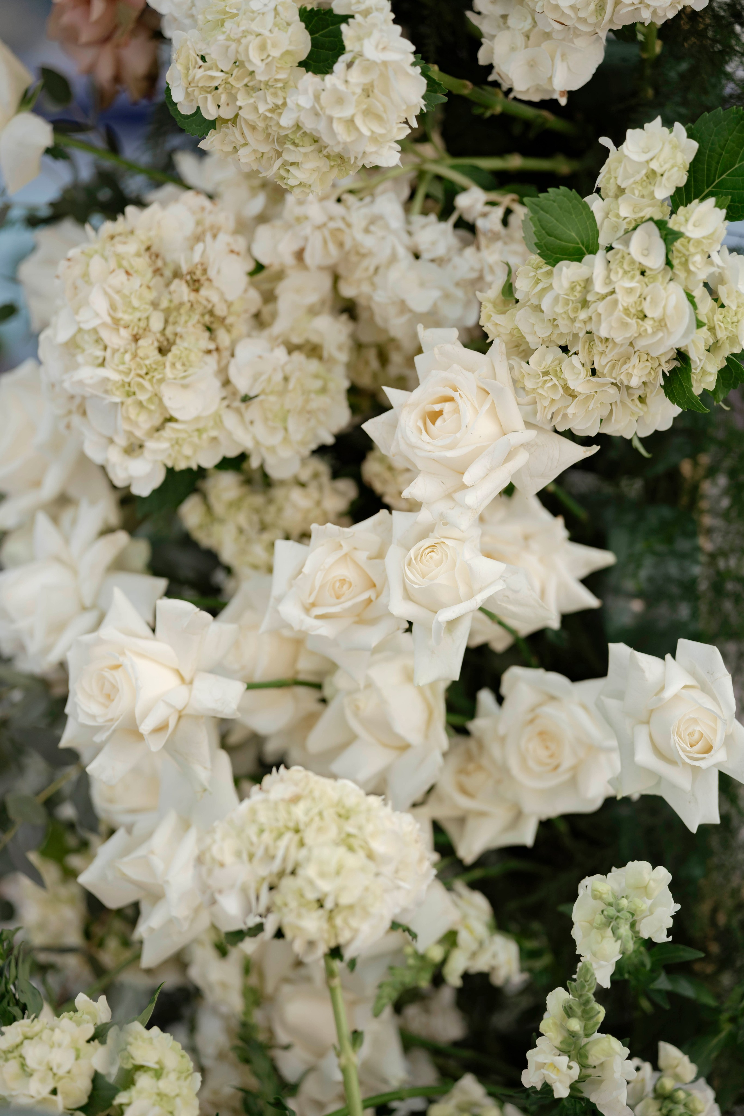 KYWU & NHI. WEDDING PHOTOGRAPHER IN VIETNAM