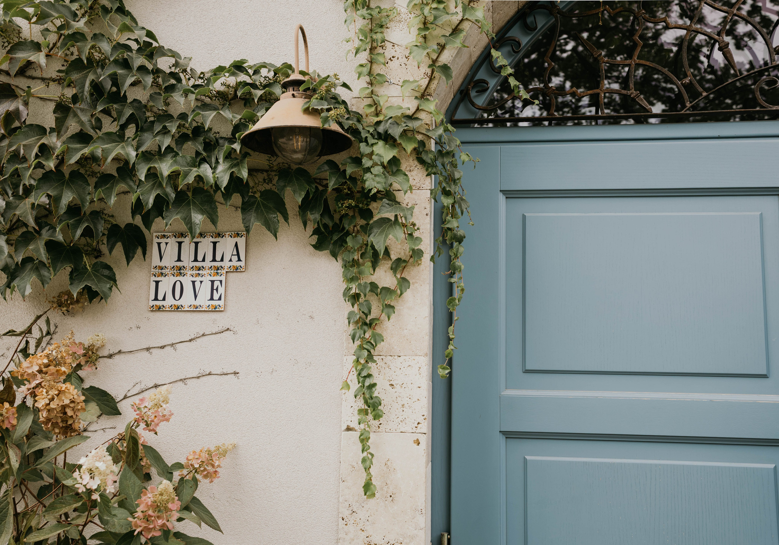 JULIA DAWID. Fotograf Mykhalchuk Inna Kraków