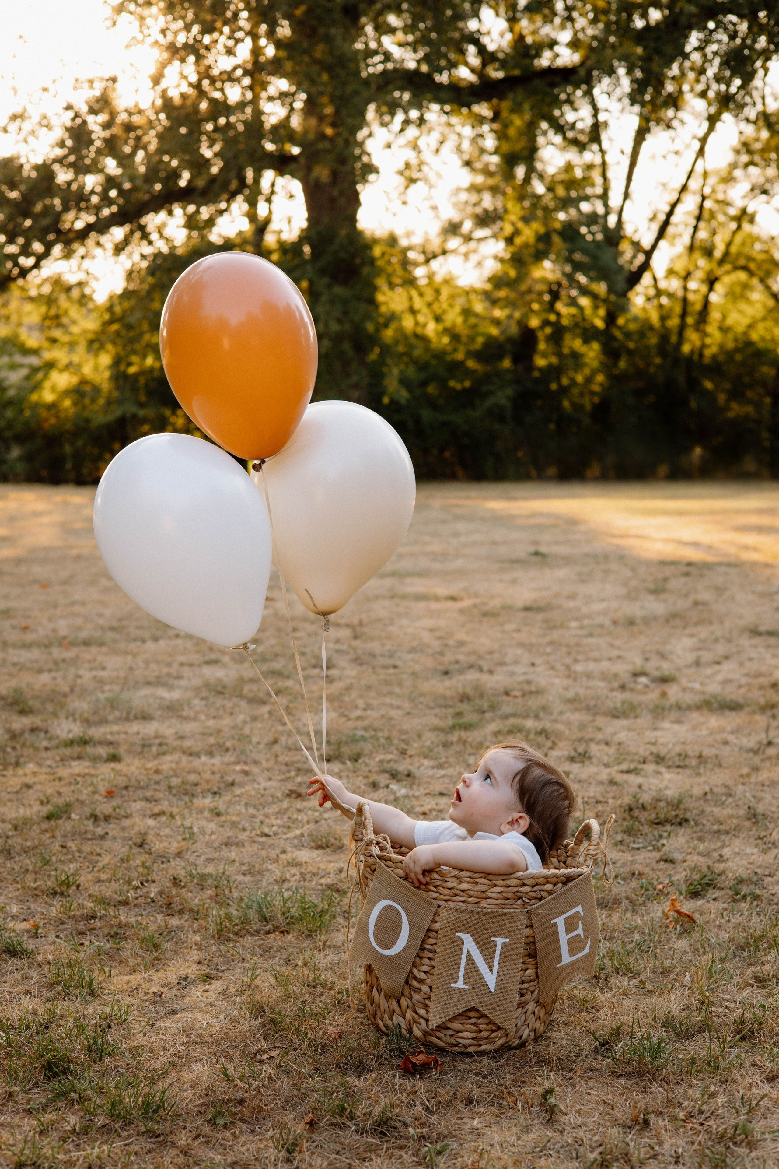 Smash Cake Photography. Family and Wedding Photographer