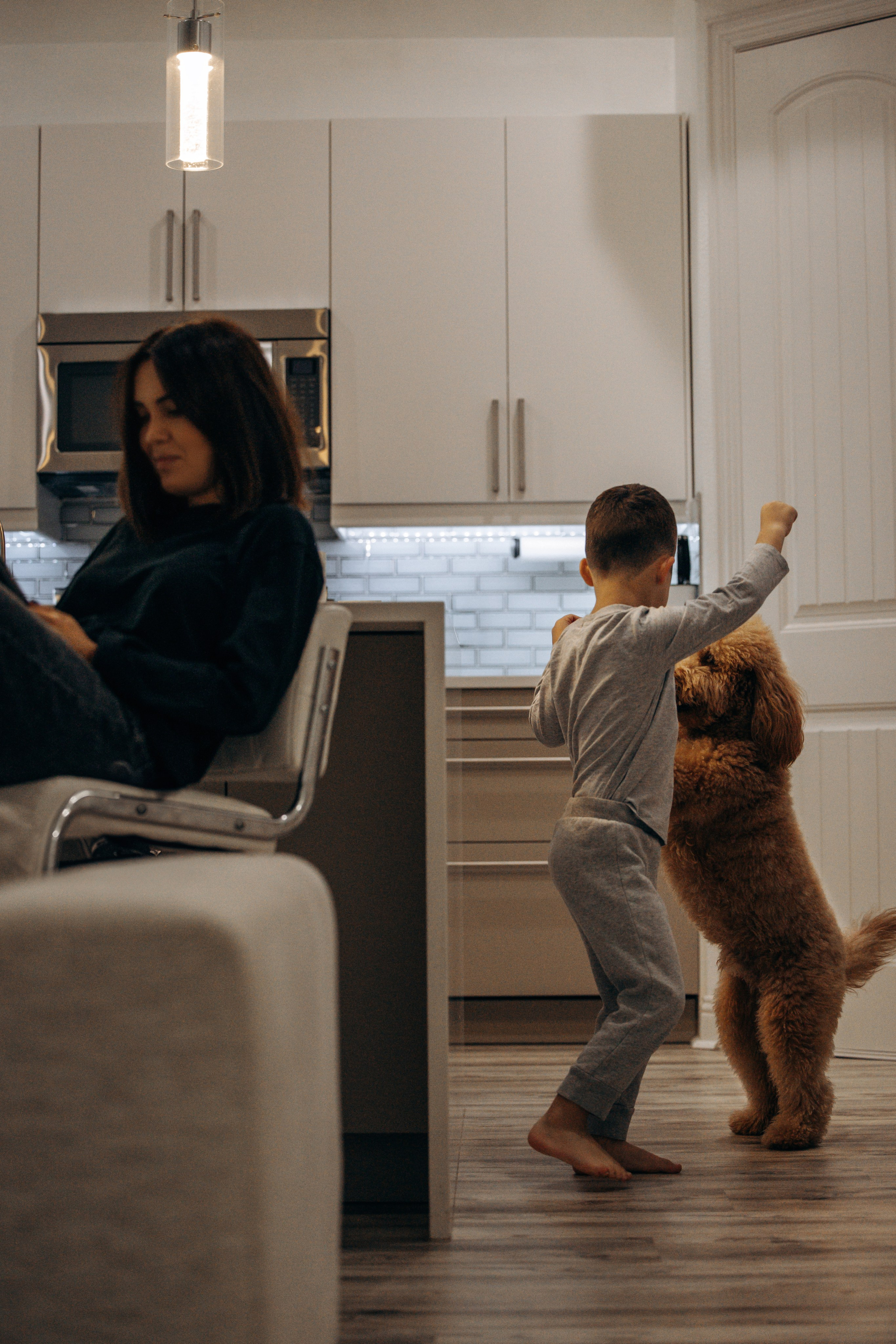 Richie & his Family. Pet Photographer Viktoriya Aleshenko