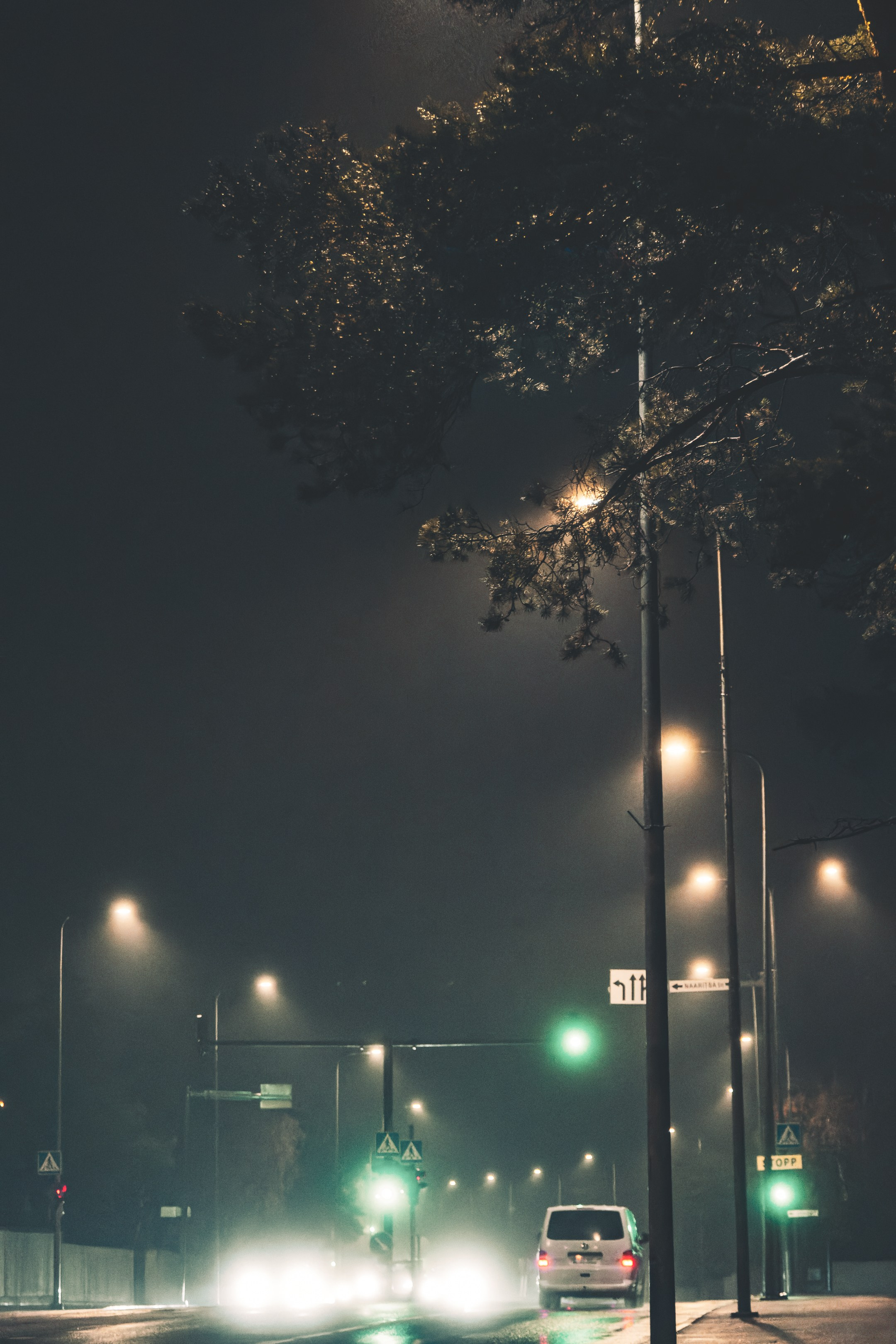 Eelmine öö. Nebula 25 — Fotod teie hingele