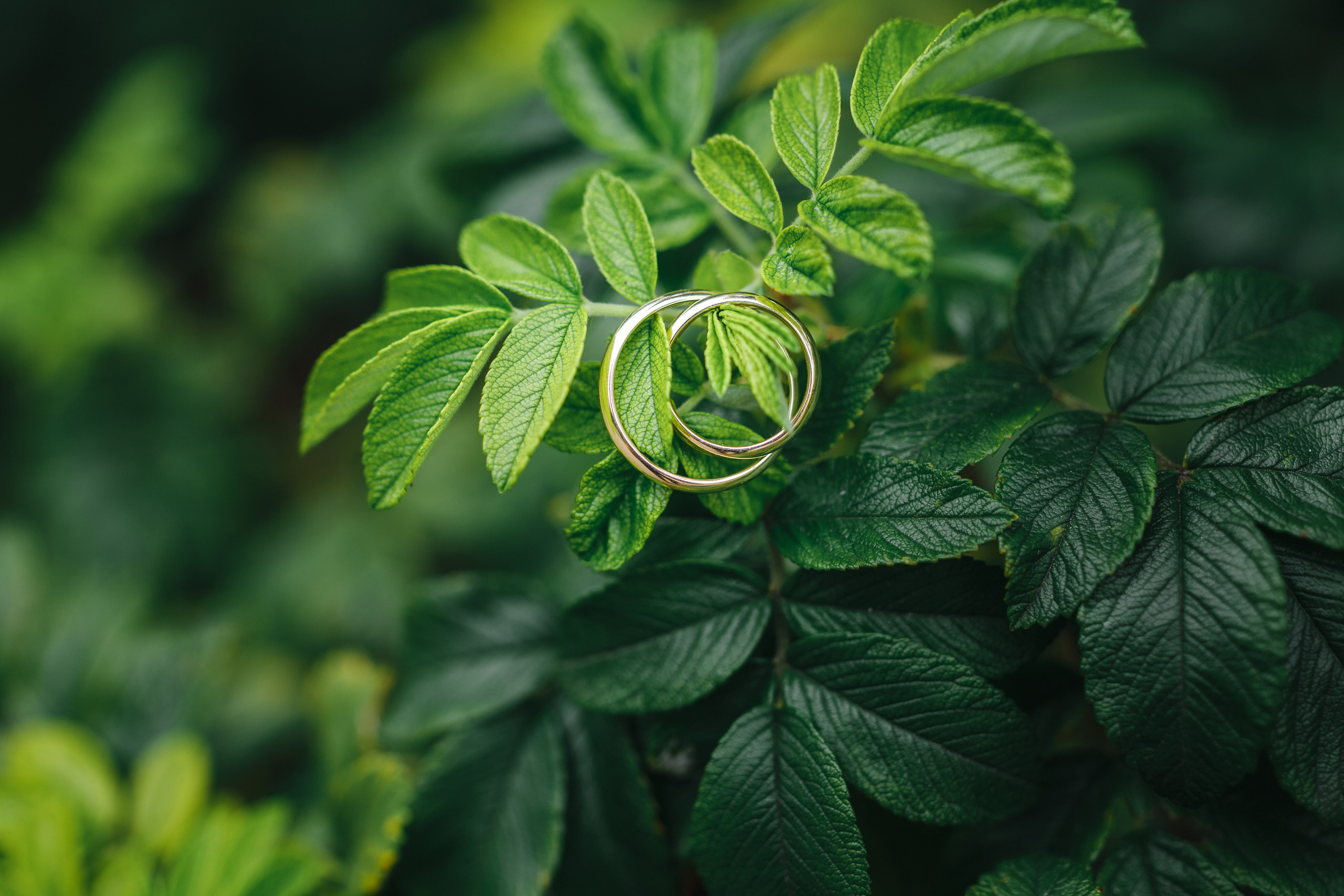 Anna & Aleksandr. Reklāmas un portretu fotografēšanas pakalpojumi