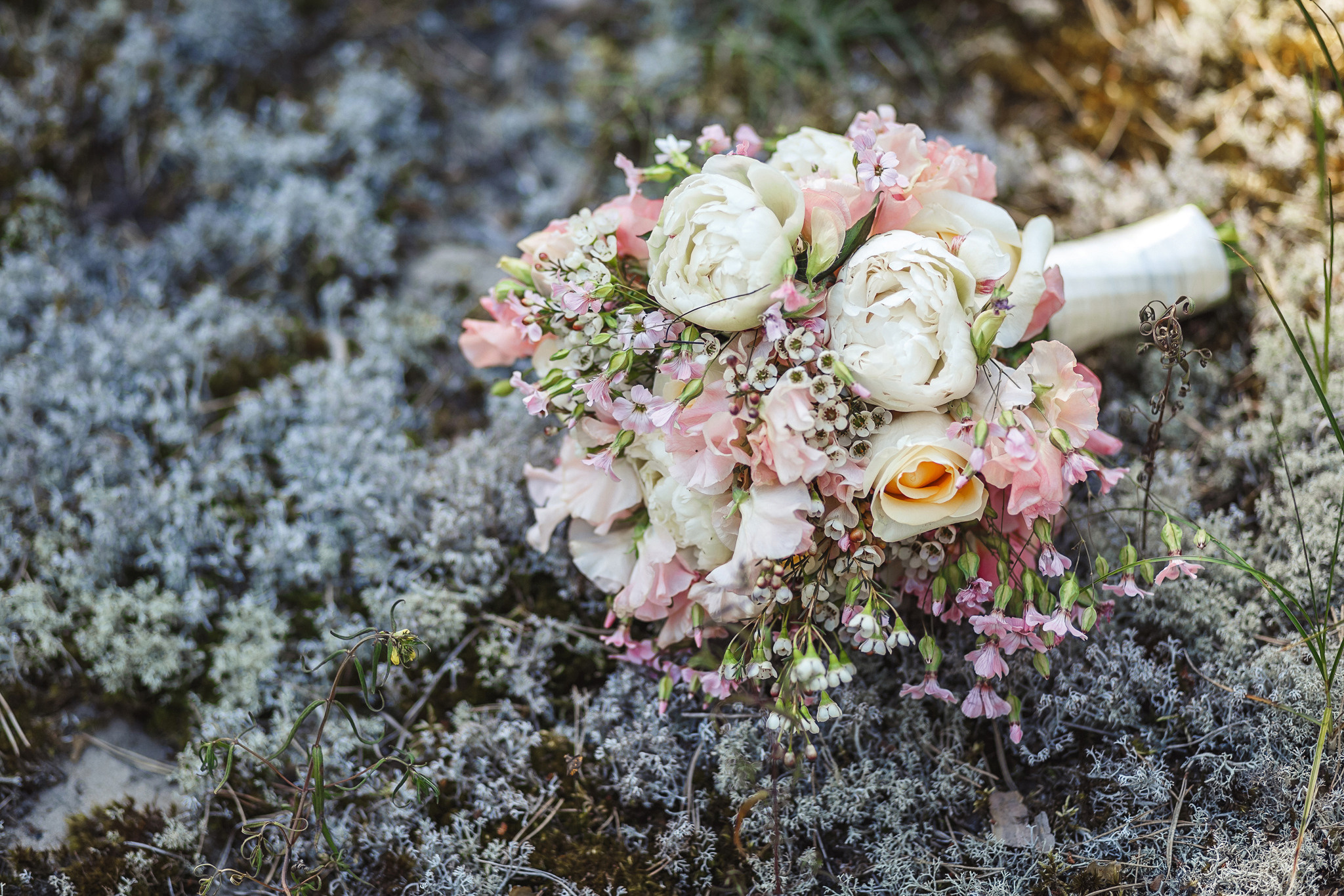 Свадебная фотография | MARIMOart.lv. Услуги рекламного фотографа