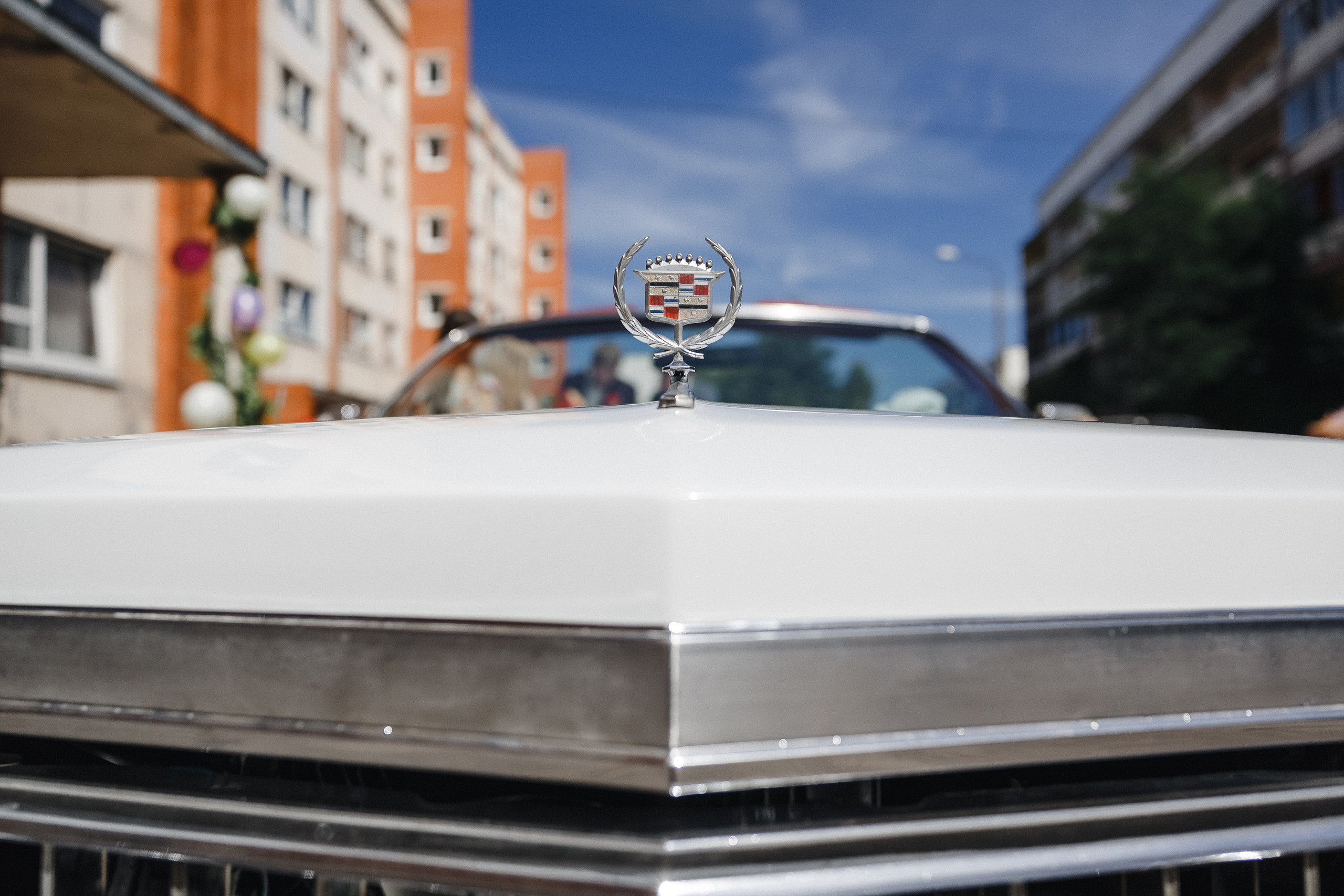 Aleksandra & Artyom. Reklāmas un portretu fotografēšanas pakalpojumi