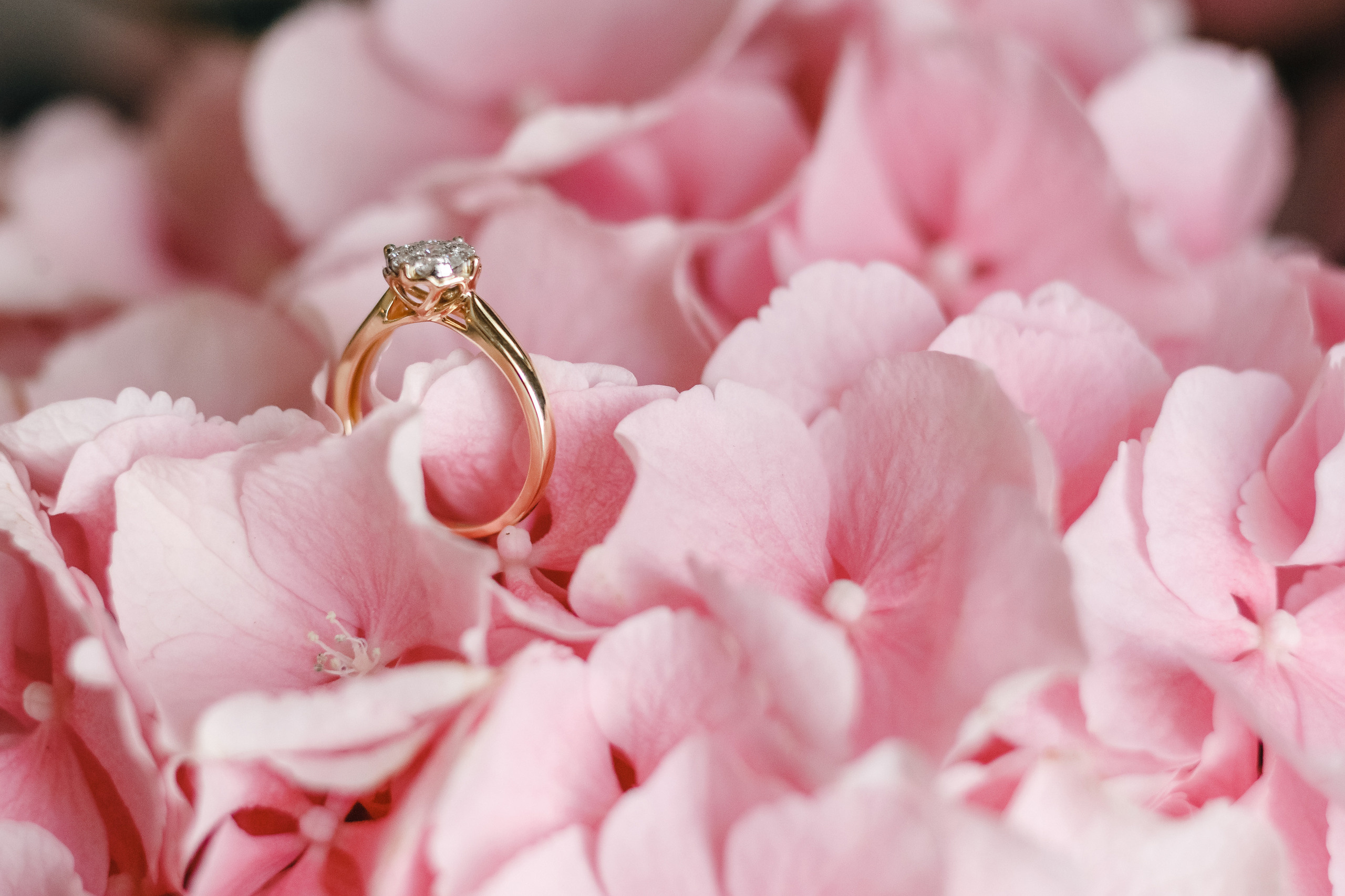 Anna & Aleksandr. Reklāmas un portretu fotografēšanas pakalpojumi